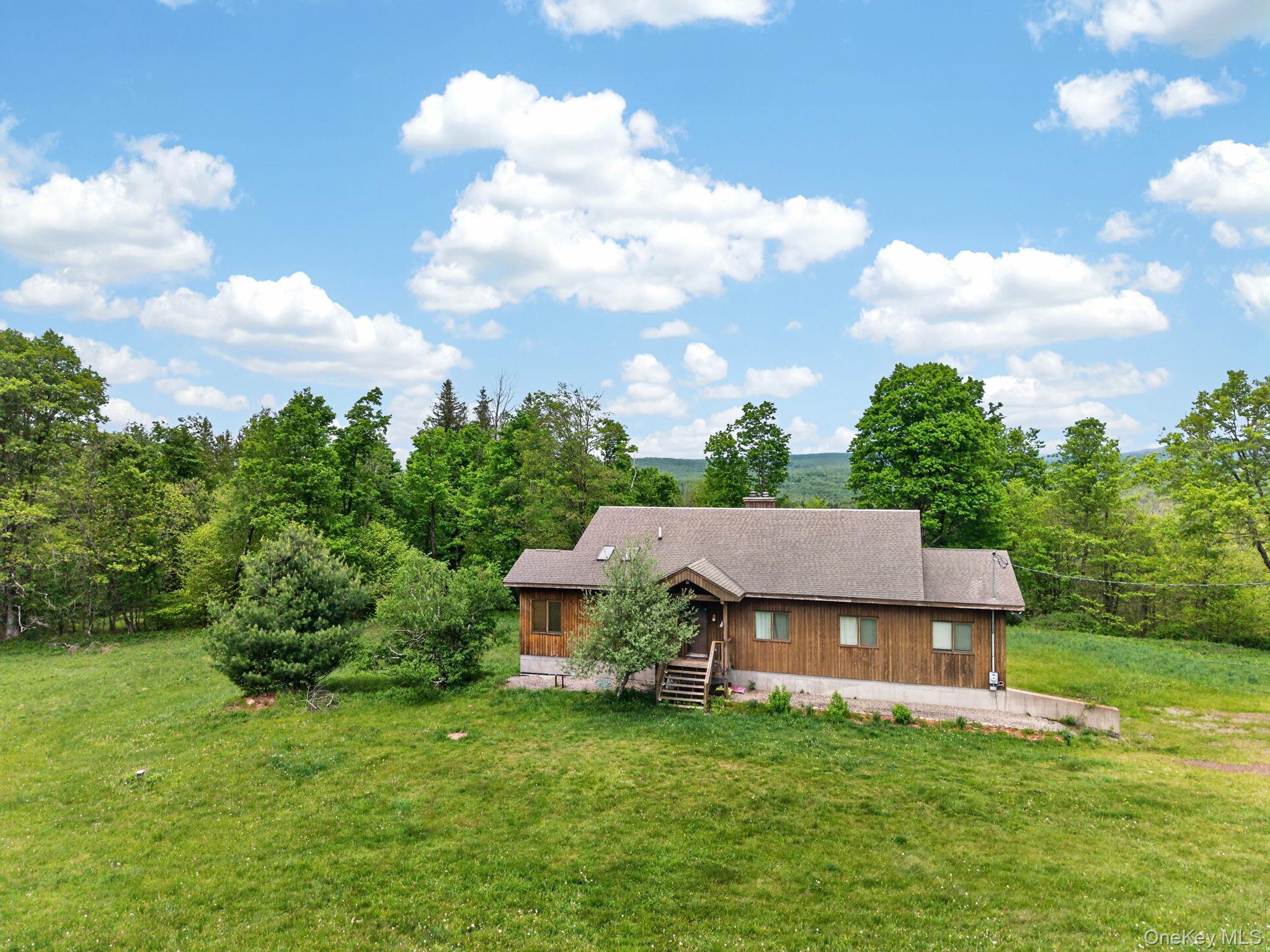 Single Family N Pond Drive  Sullivan County, NY 12768, MLS-1010224-3