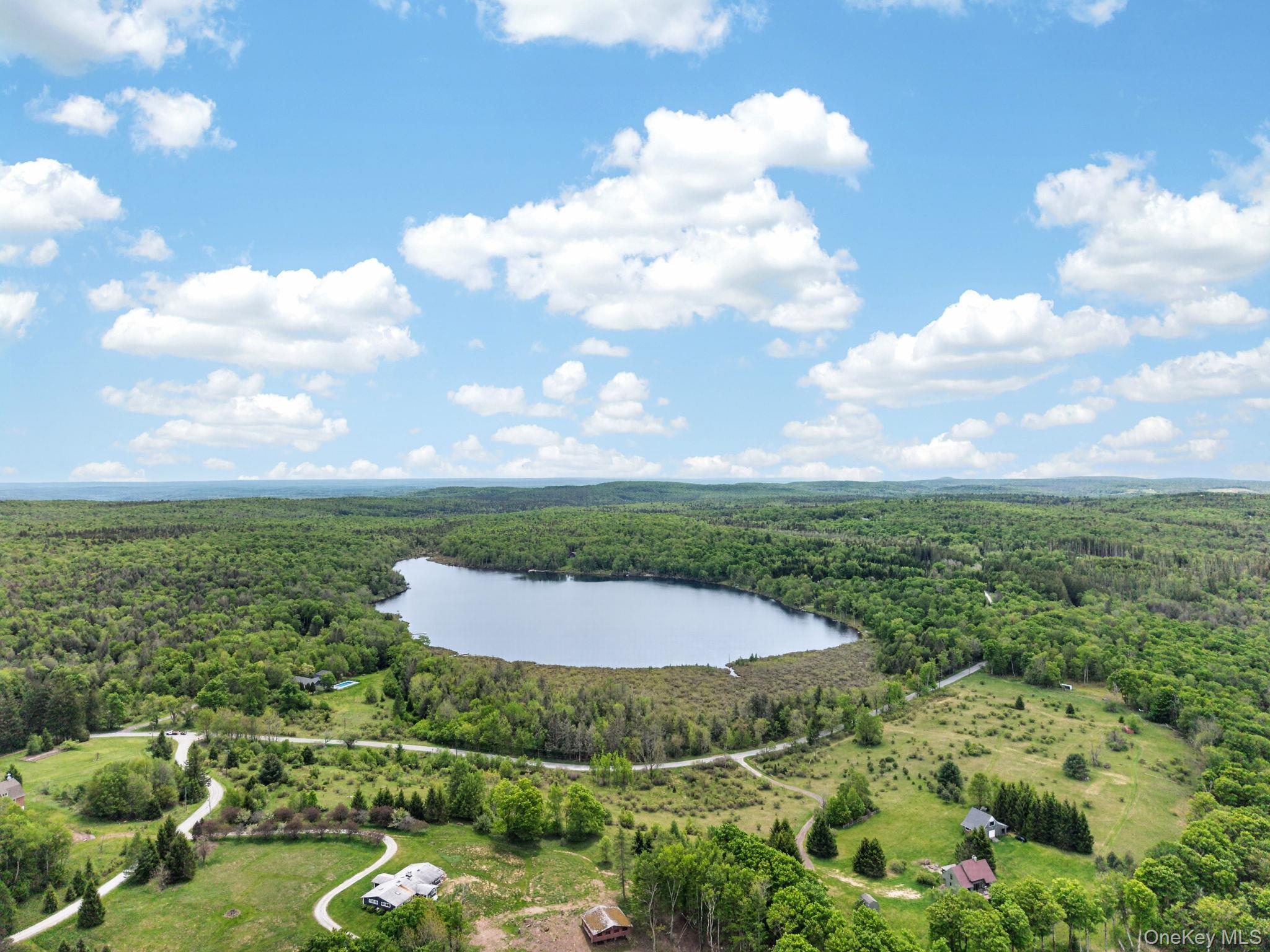 Single Family N Pond Drive  Sullivan County, NY 12768, MLS-1010224-5
