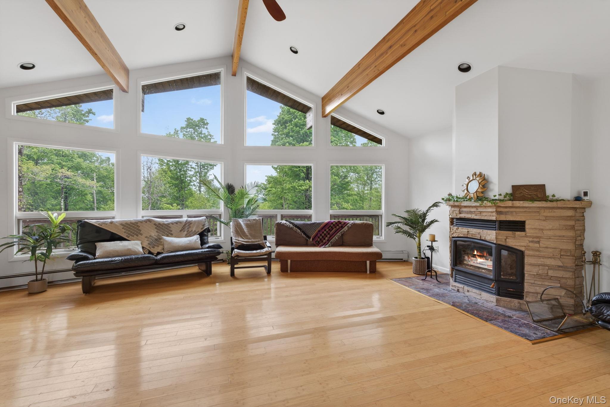 Single Family N Pond Drive  Sullivan County, NY 12768, MLS-1010224-8