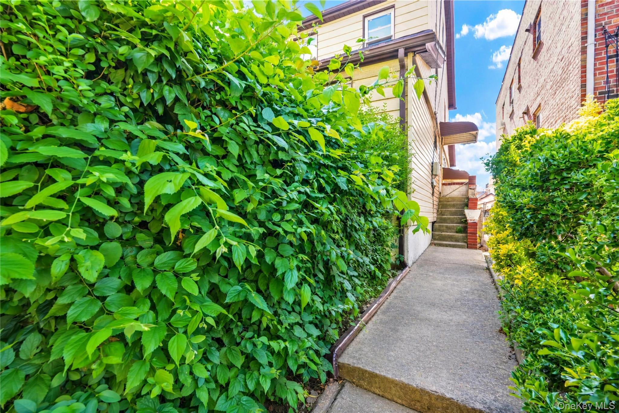 Single Family 156th Queens, NY 11367, MLS-1010232-2