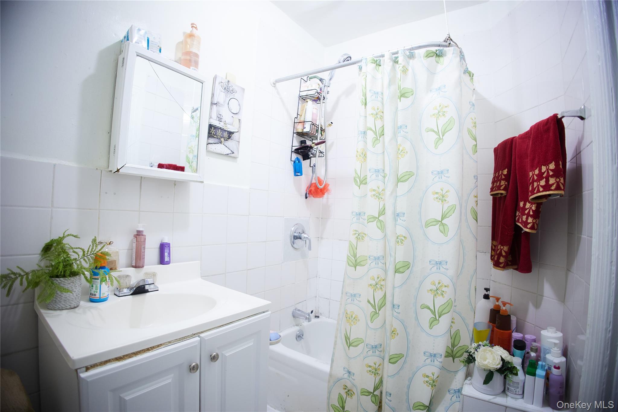 Single Family Crescent Brooklyn, NY 11208, MLS-1010263-13