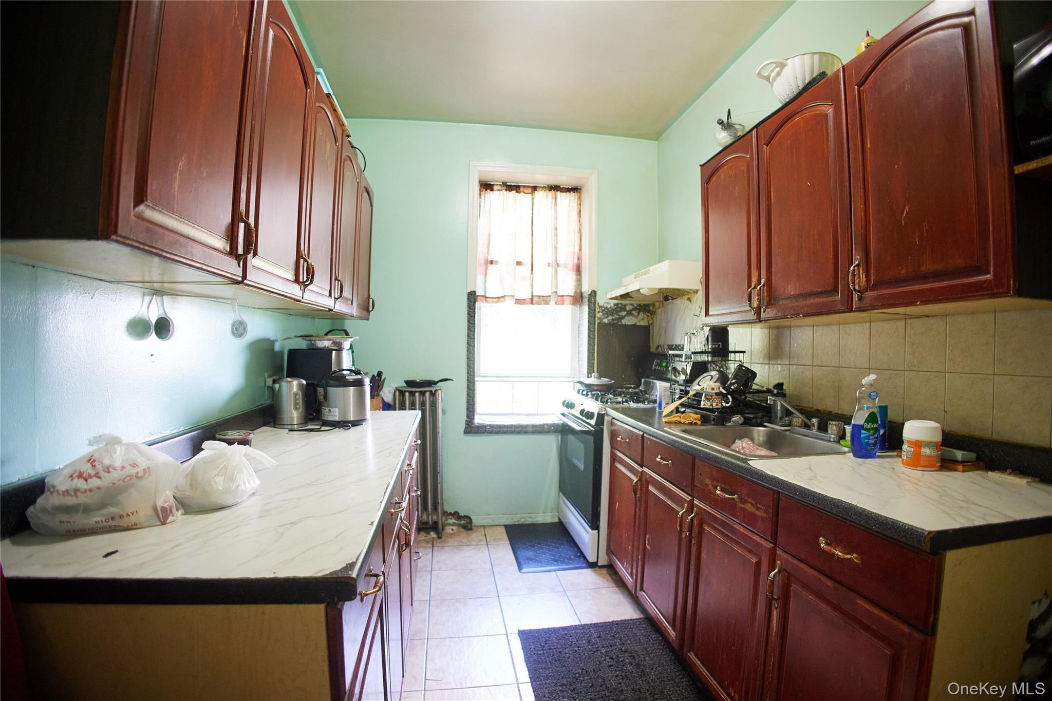 Single Family Crescent Brooklyn, NY 11208, MLS-1010263-16