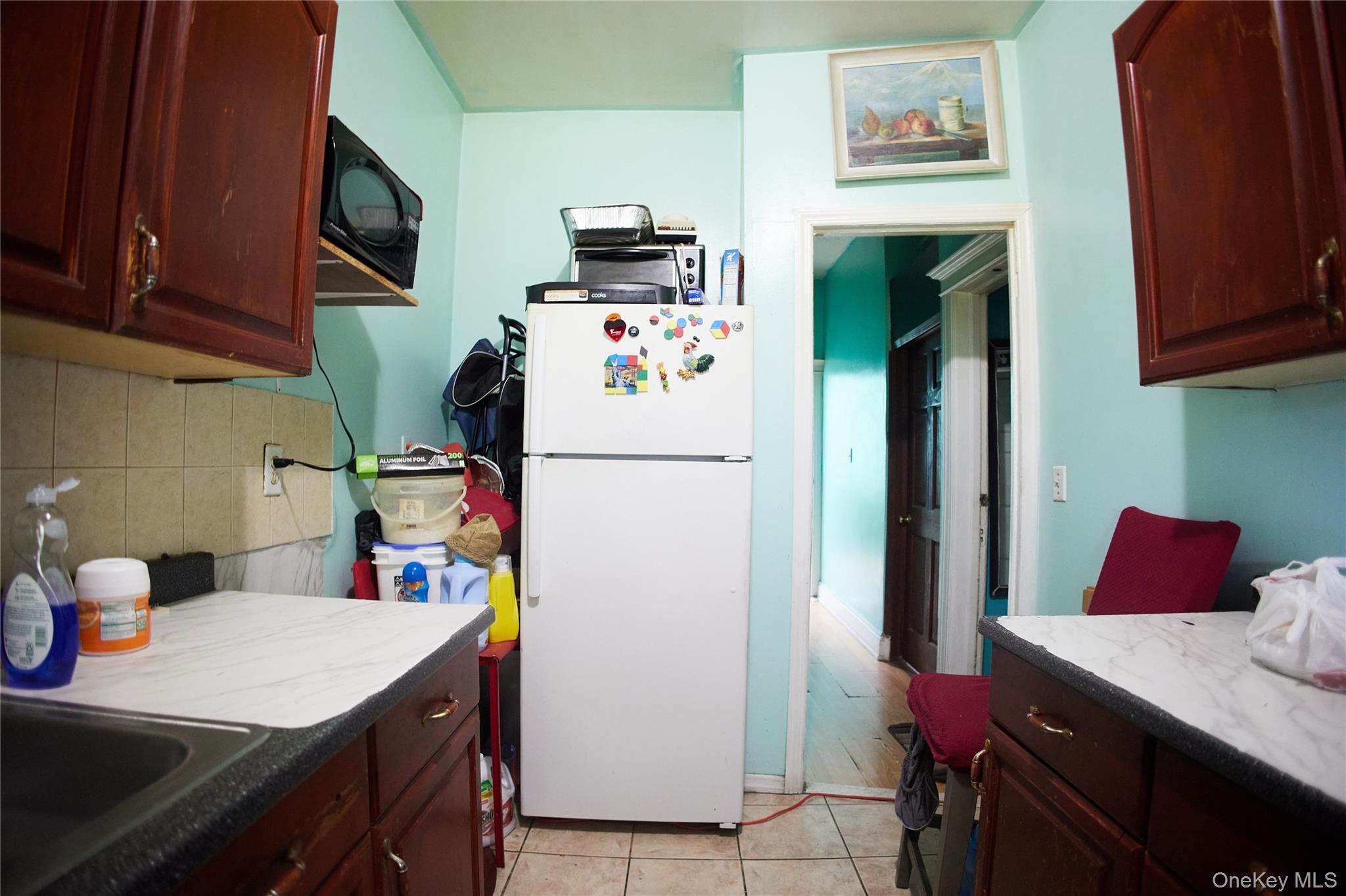 Single Family Crescent Brooklyn, NY 11208, MLS-1010263-17