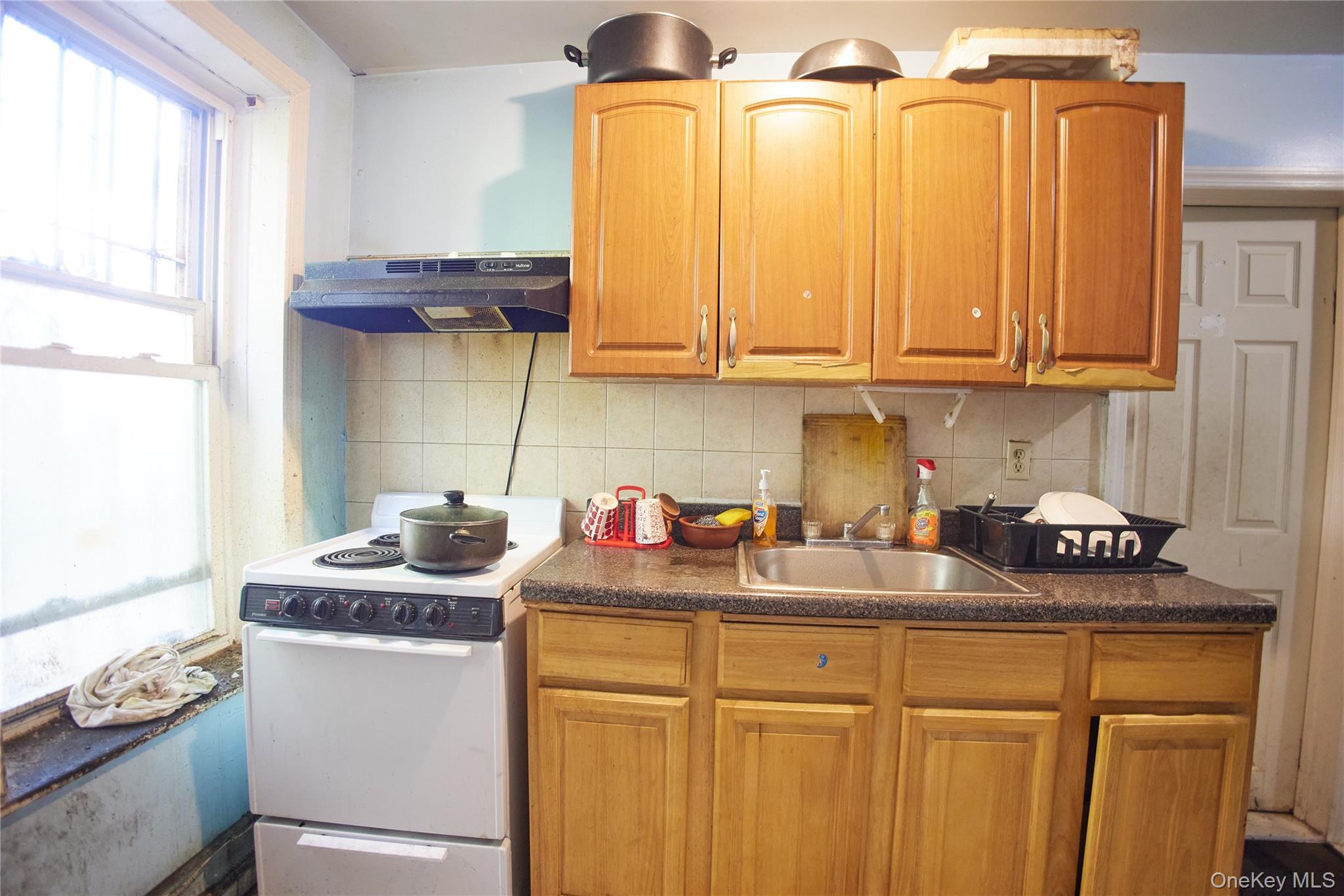 Single Family Crescent Brooklyn, NY 11208, MLS-1010263-28