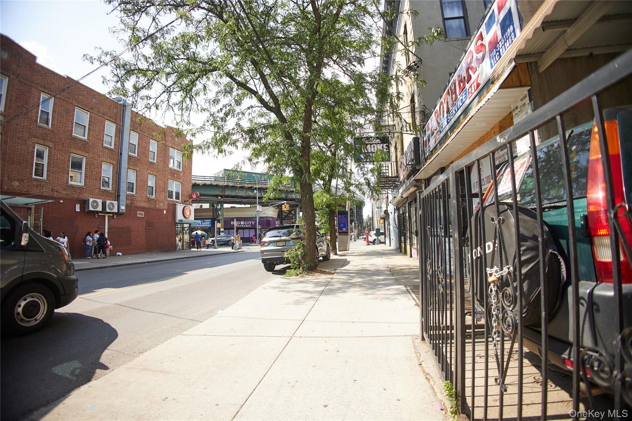 Single Family Crescent Brooklyn, NY 11208, MLS-1010263-3