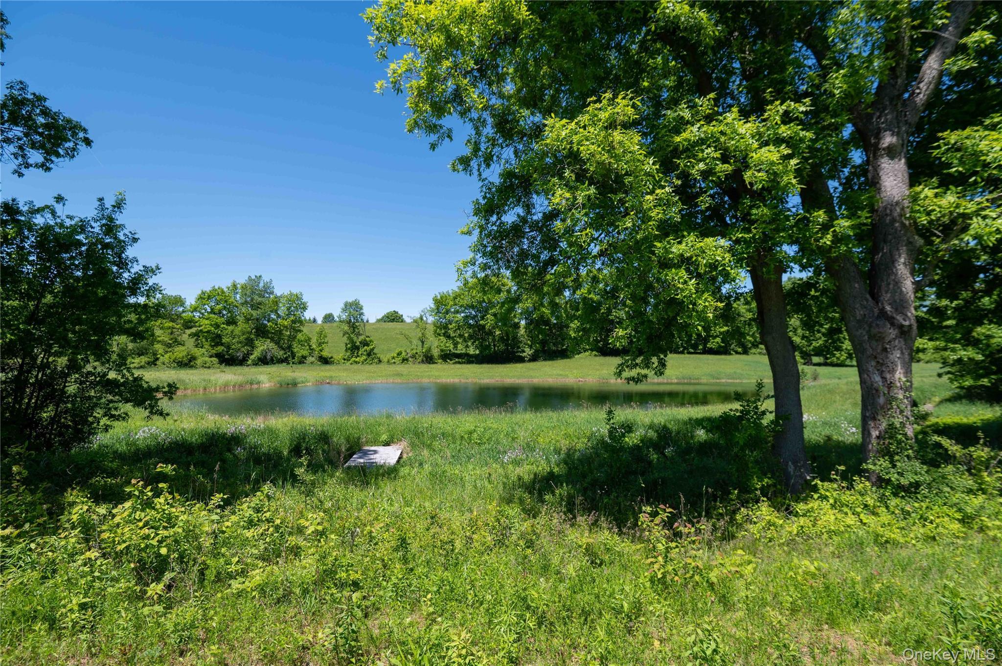 Single Family Schoolhouse Road Columbia County, NY 12017, MLS-1010320-8