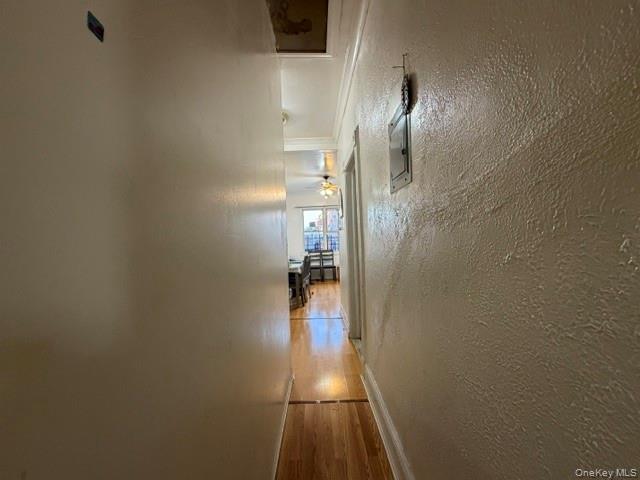Single Family Zerega Bronx, NY 10462, MLS-1010322-19