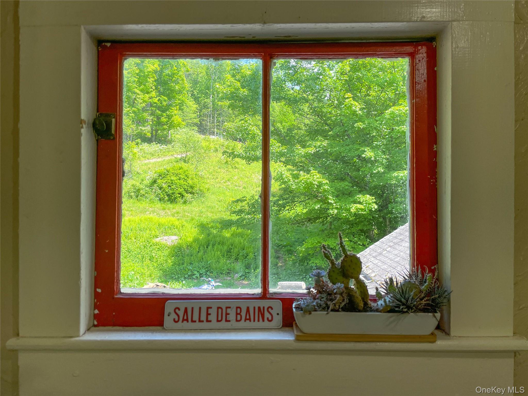 Single Family Polster Road Sullivan County, NY 12723, MLS-1010333-10