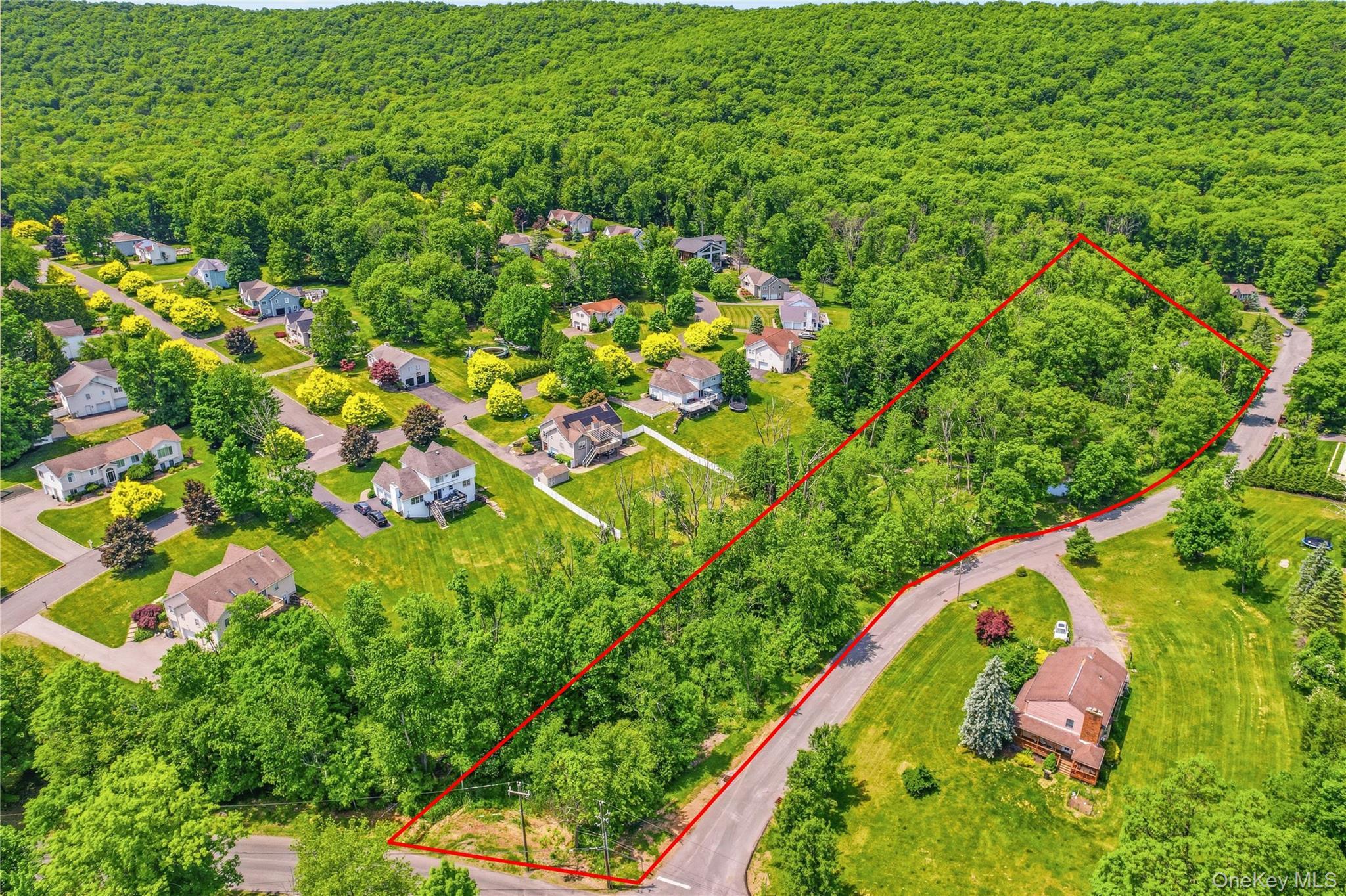 Single Family Van Tassel Court  Orange County, NY 10930, MLS-1010358-2