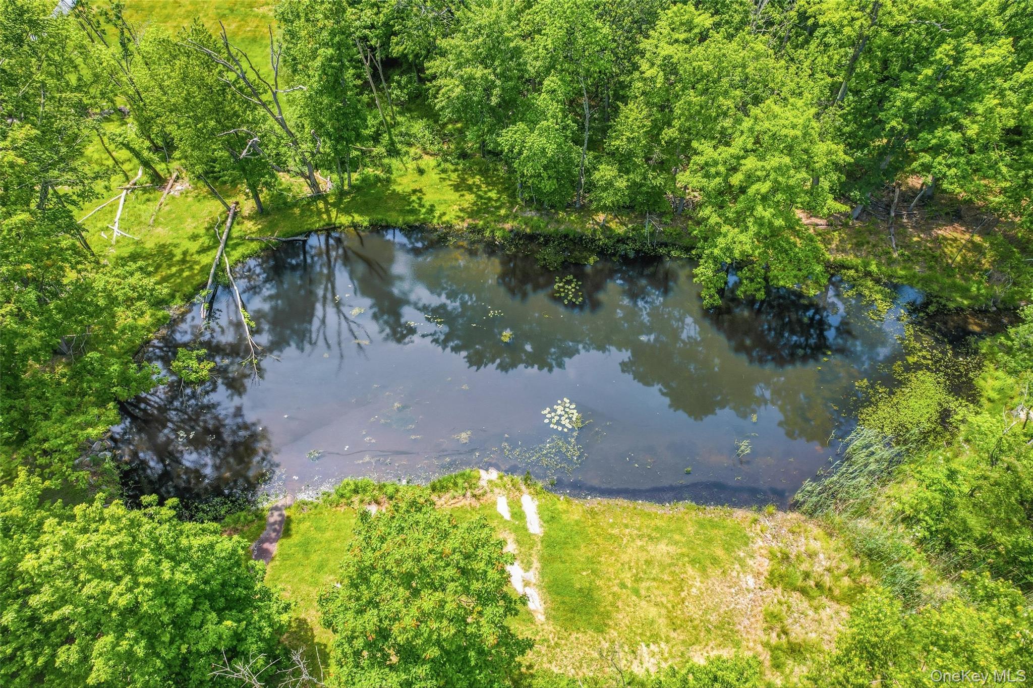 Single Family Van Tassel Court  Orange County, NY 10930, MLS-1010358-3