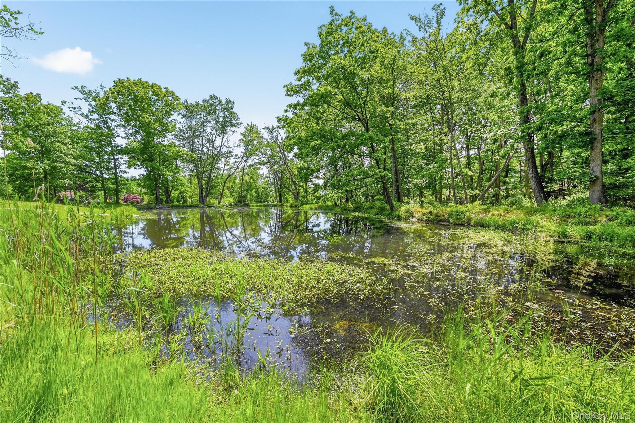 Single Family Van Tassel Court  Orange County, NY 10930, MLS-1010358-49