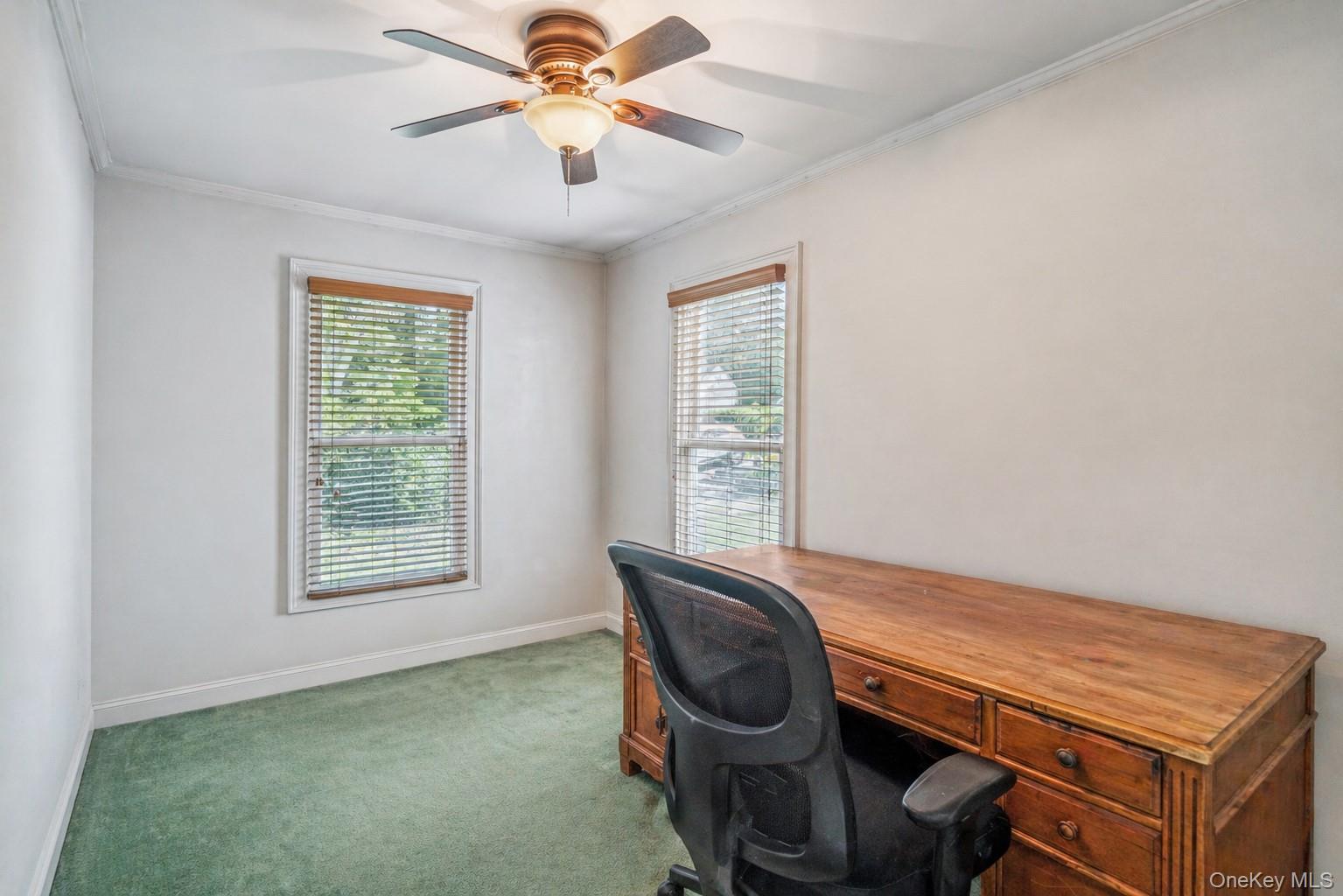 Single Family Cedar Avenue Nassau County, NY 11560, MLS-1010411-12