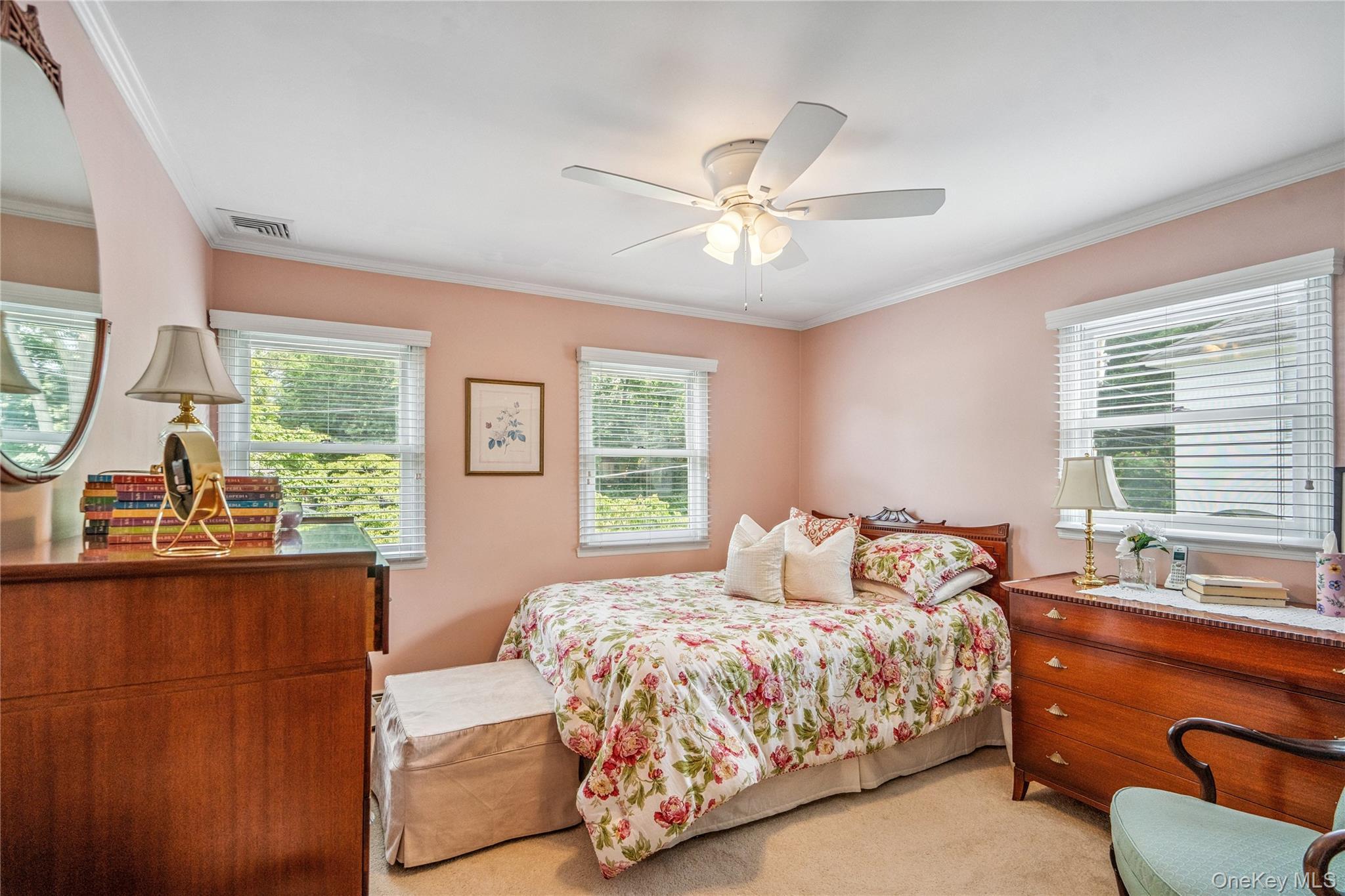 Single Family Cedar Avenue Nassau County, NY 11560, MLS-1010411-17
