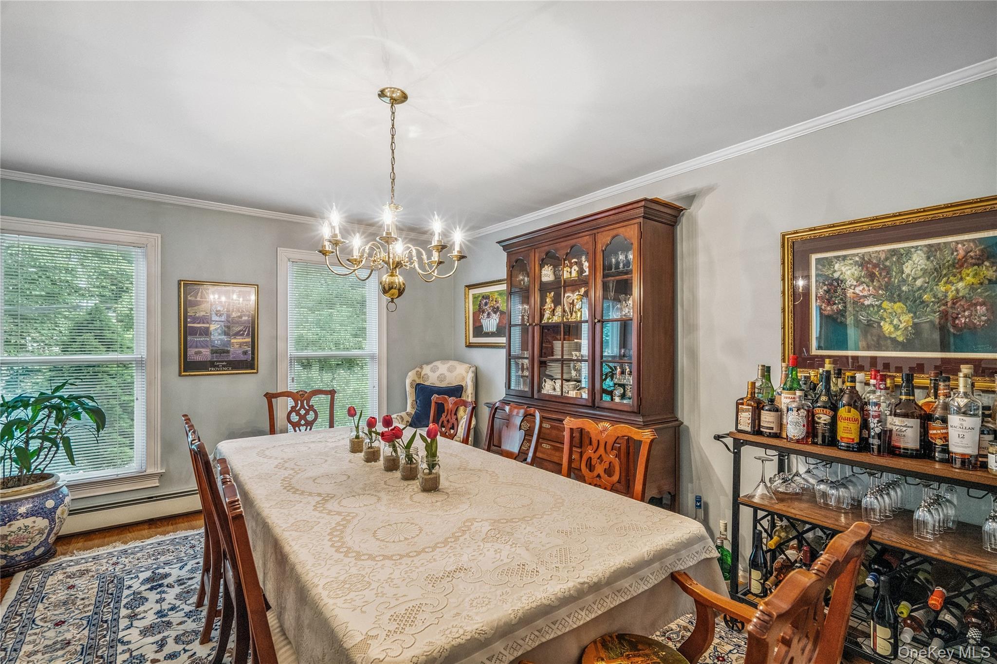 Single Family Cedar Avenue Nassau County, NY 11560, MLS-1010411-9