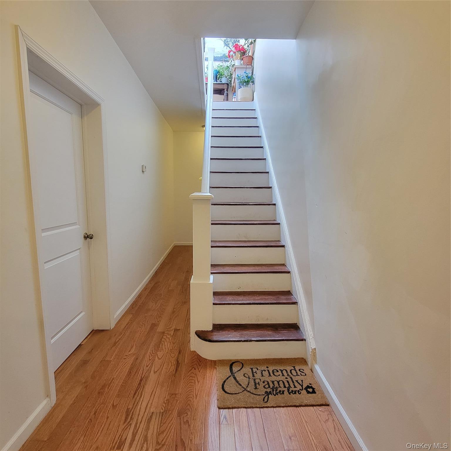 Single Family 78th Queens, NY 11379, MLS-1010429-3