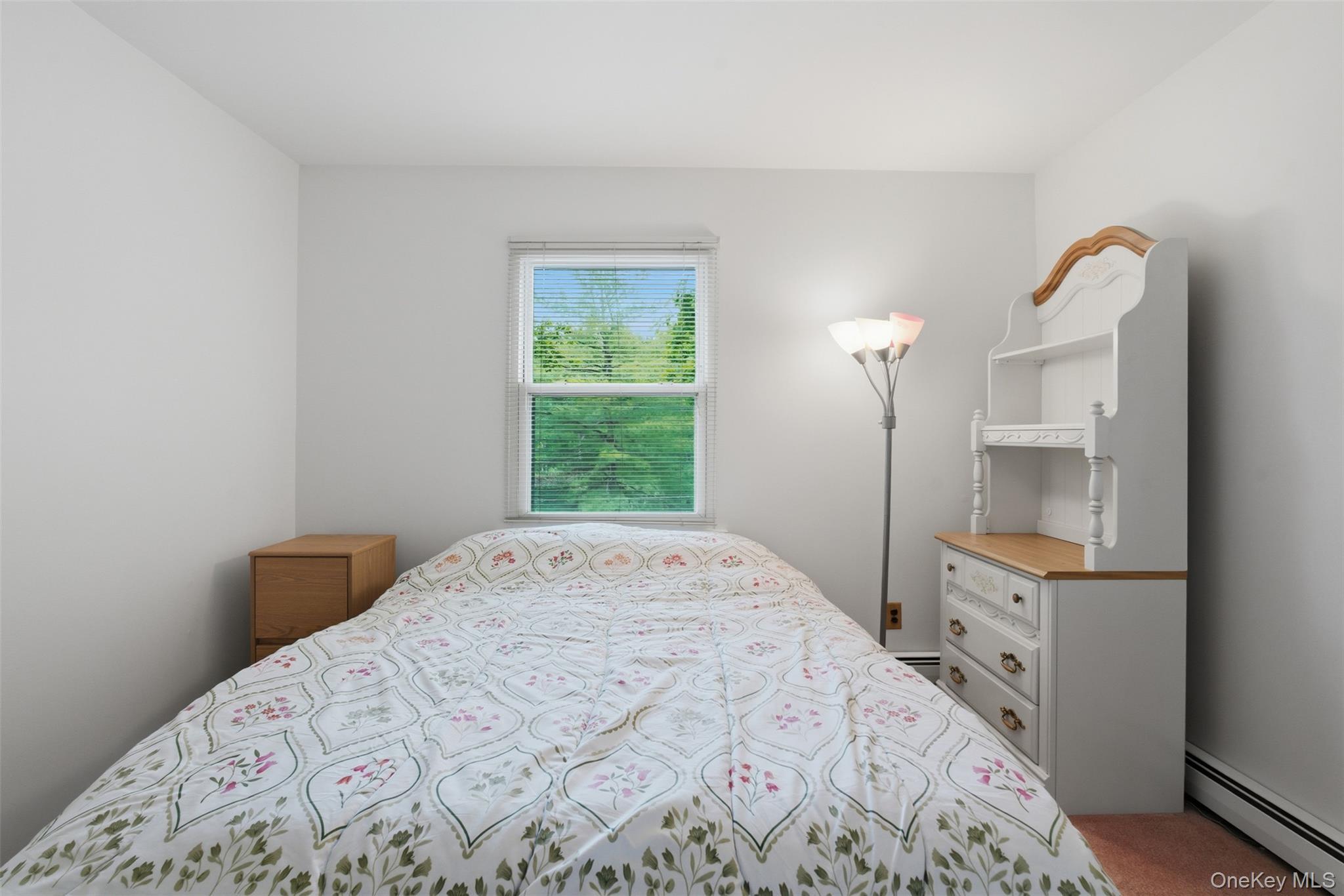 Single Family Campfire Road Westchester County, NY 10598, MLS-1010483-18