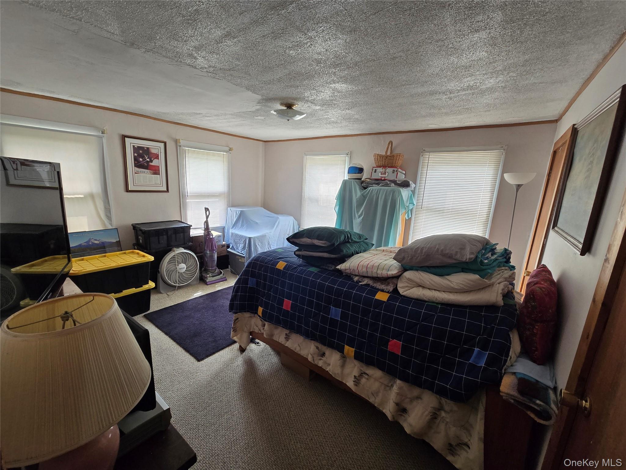 Single Family 5th Avenue  Orange County, NY 12550, MLS-1010502-8