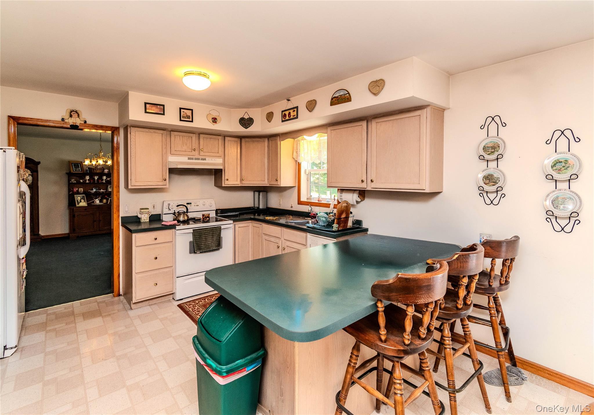 Single Family Spruce Road Sullivan County, NY 10940, MLS-1010523-12