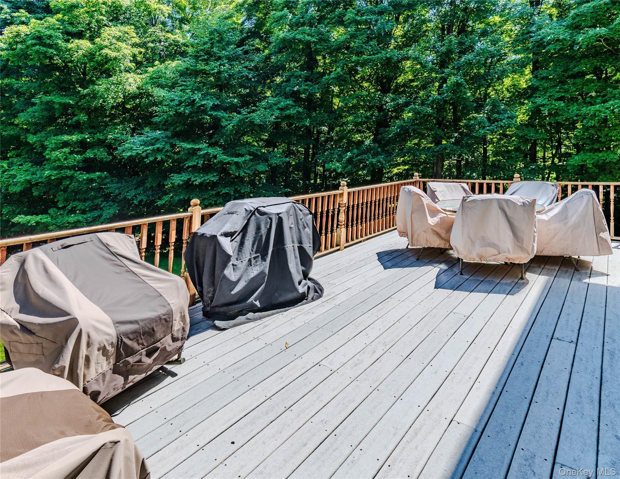 Single Family Spruce Road Sullivan County, NY 10940, MLS-1010523-29