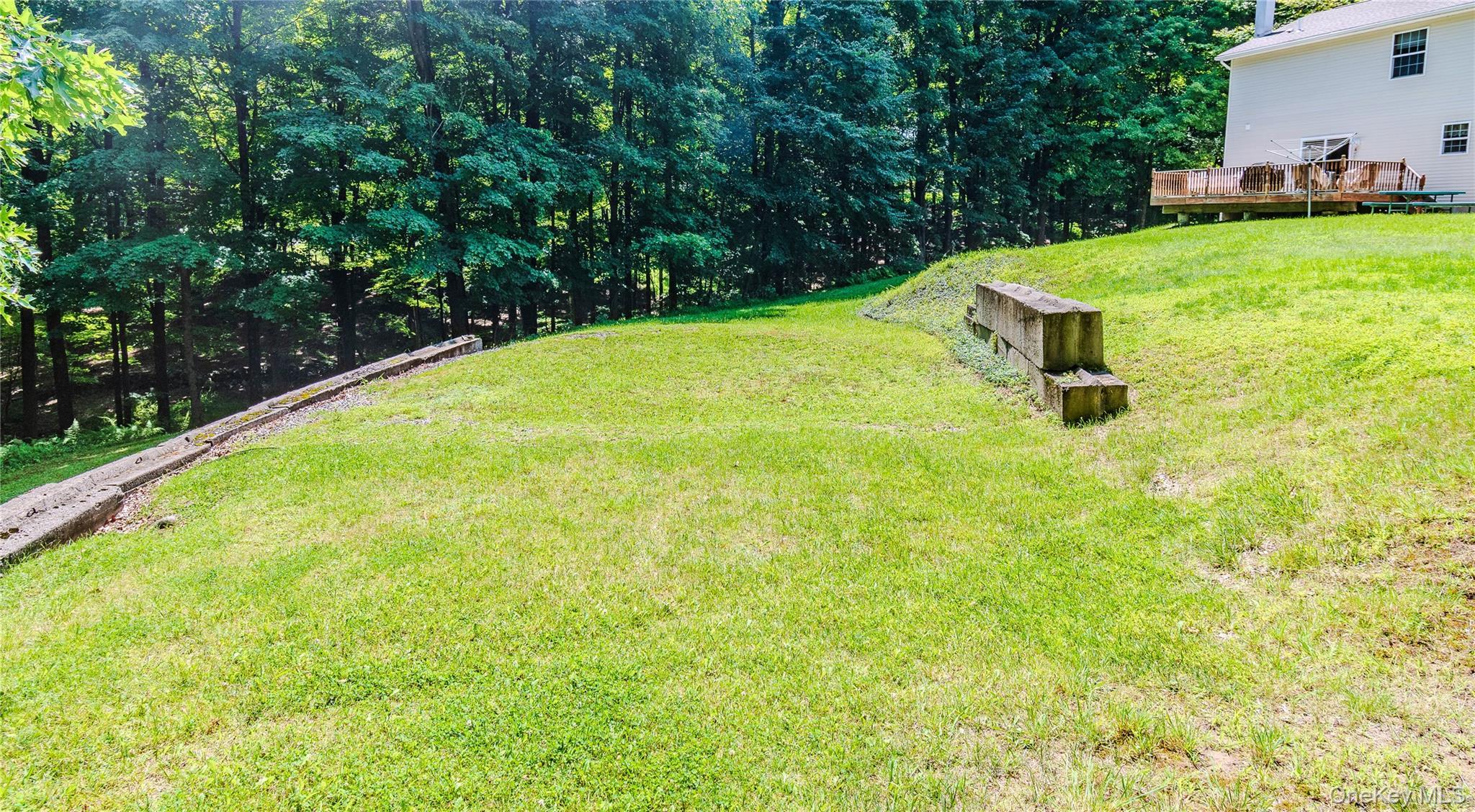Single Family Spruce Road Sullivan County, NY 10940, MLS-1010523-32