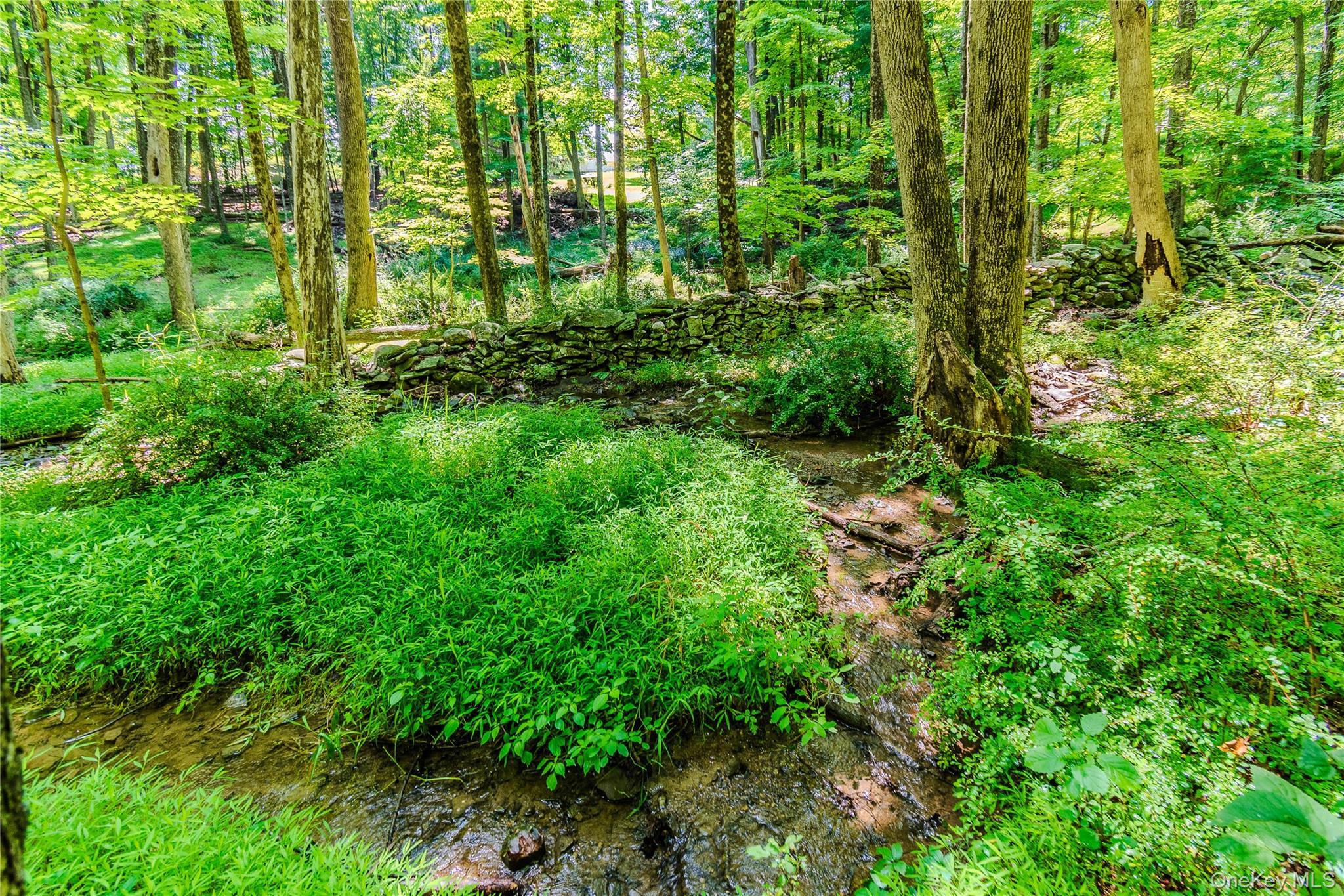 Single Family Spruce Road Sullivan County, NY 10940, MLS-1010523-34