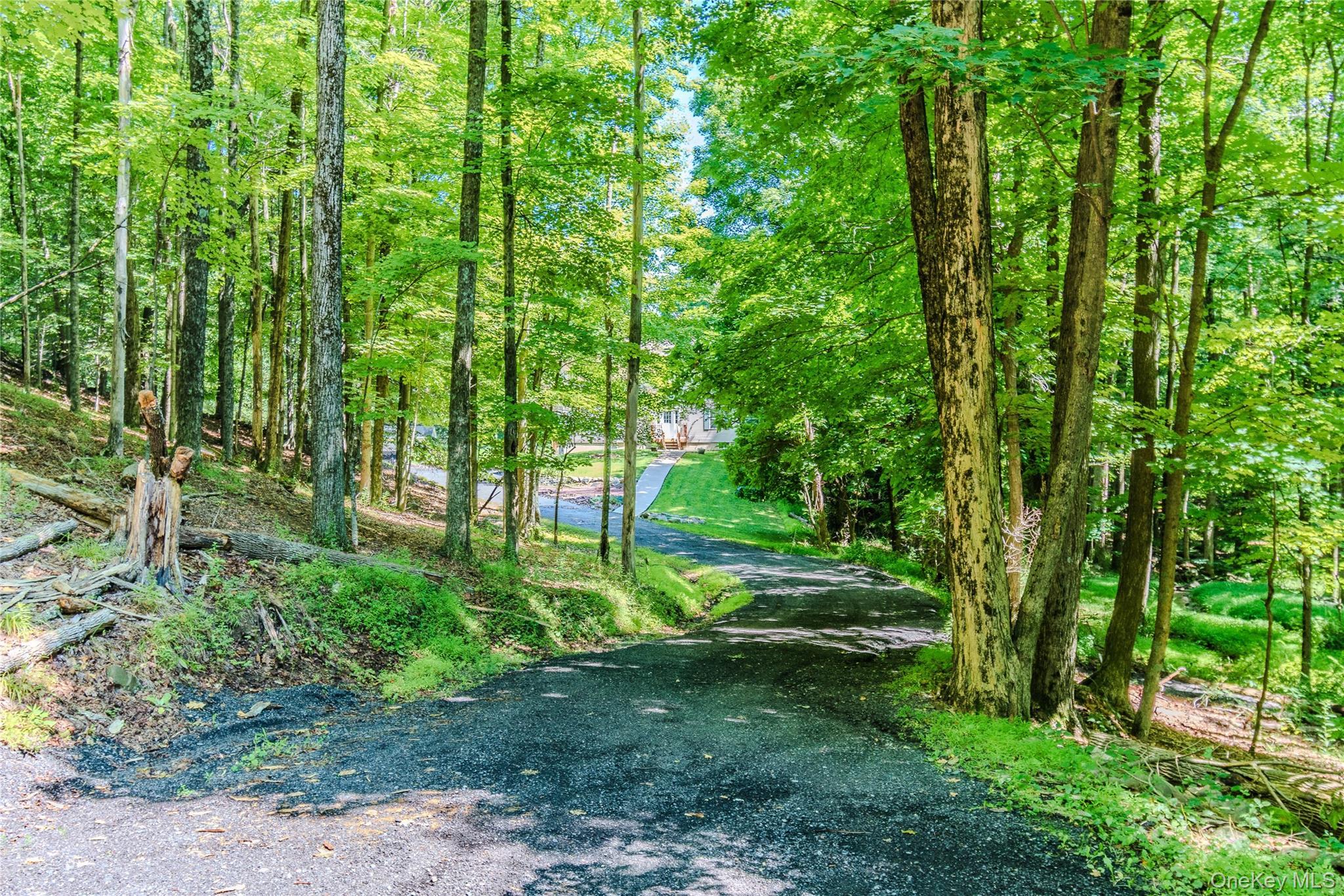 Single Family Spruce Road Sullivan County, NY 10940, MLS-1010523-37