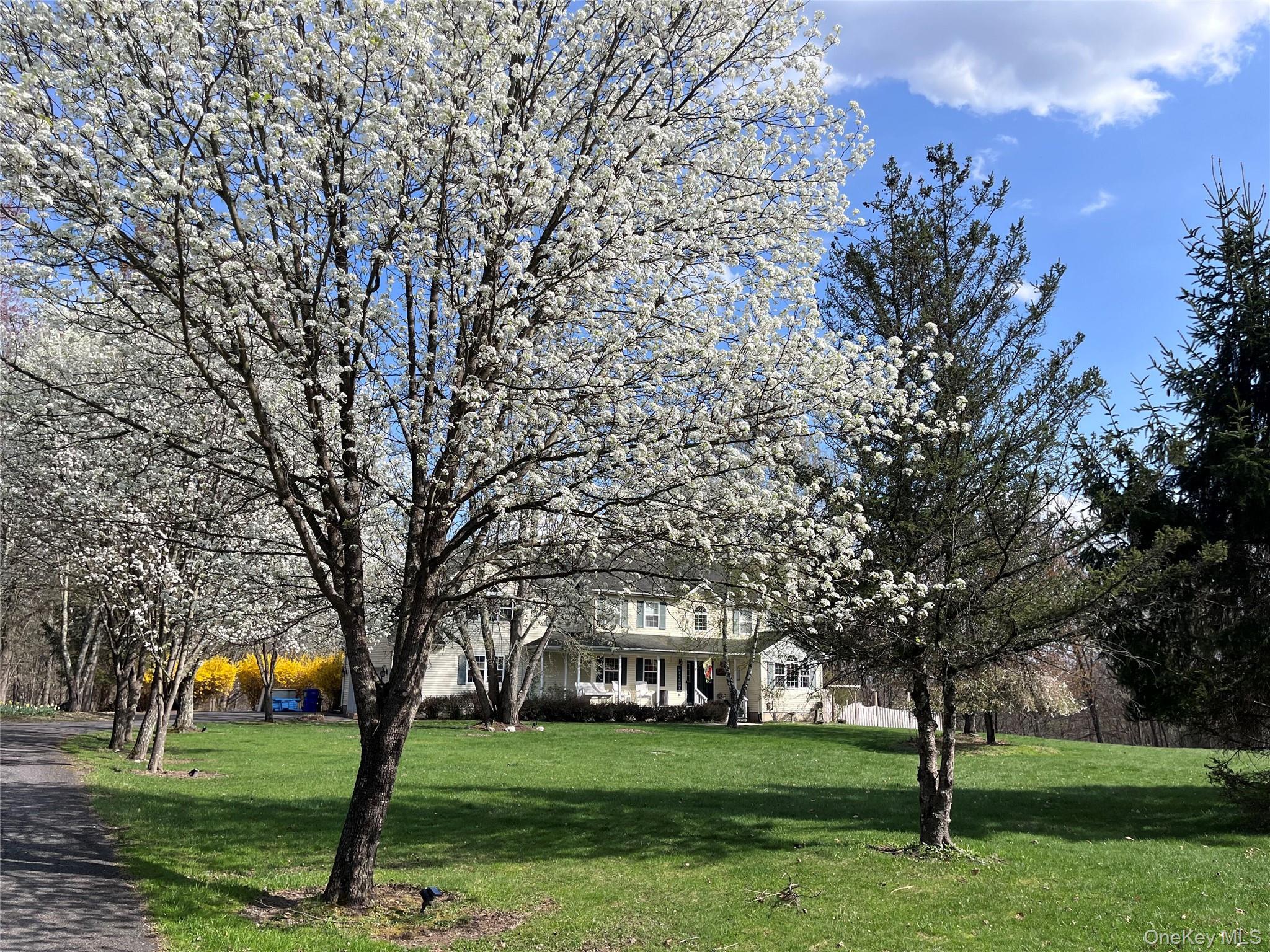 Single Family Rutsonville Road Ulster County, NY 12589, MLS-1010546-47