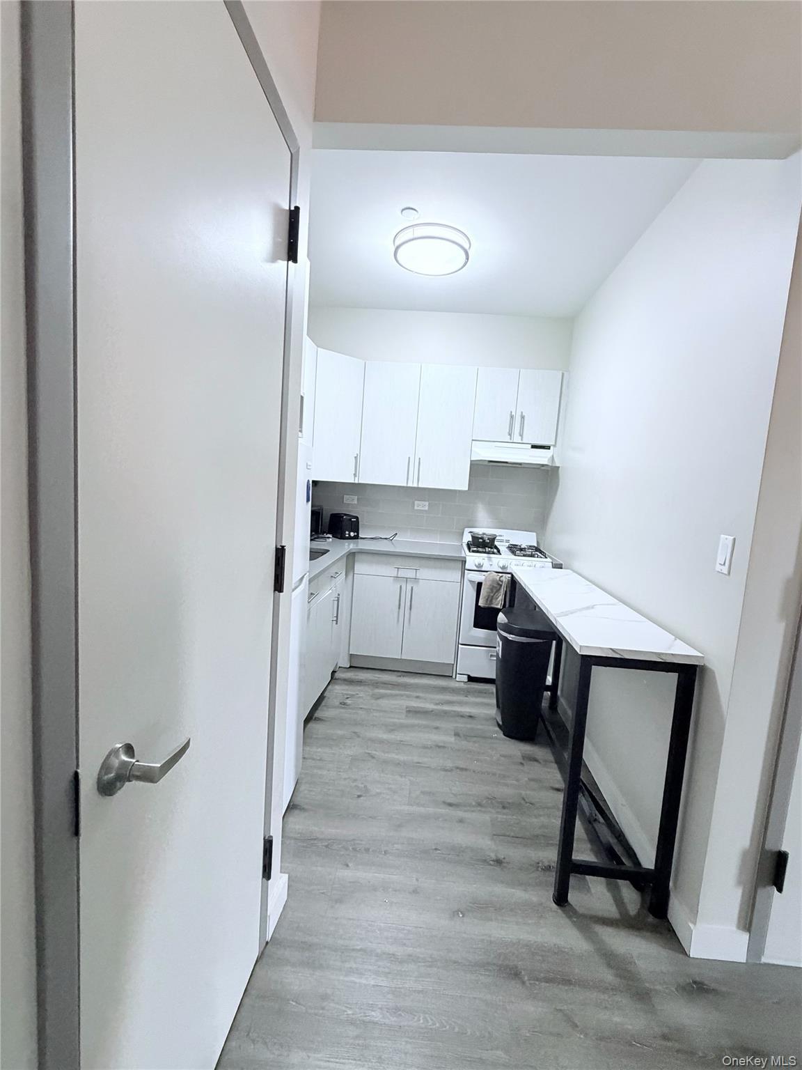 Apartment Coney Island  Brooklyn, NY 11218, MLS-1010551-3
