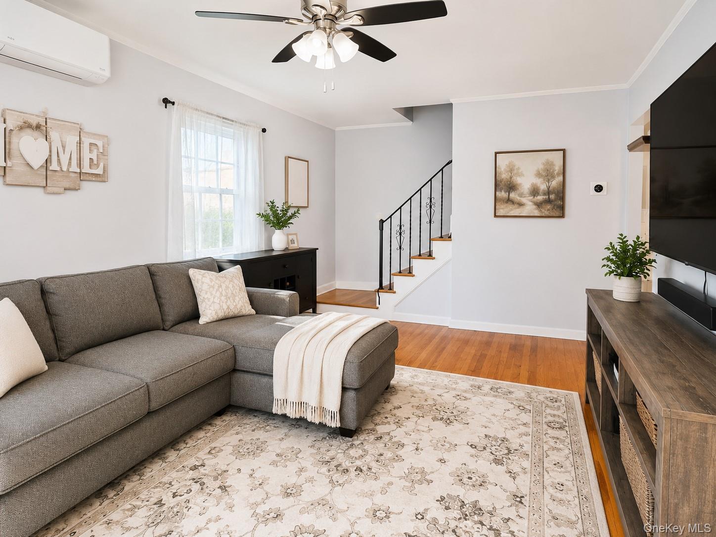 Single Family E Chester Street Nassau County, NY 11580, MLS-1010560-4