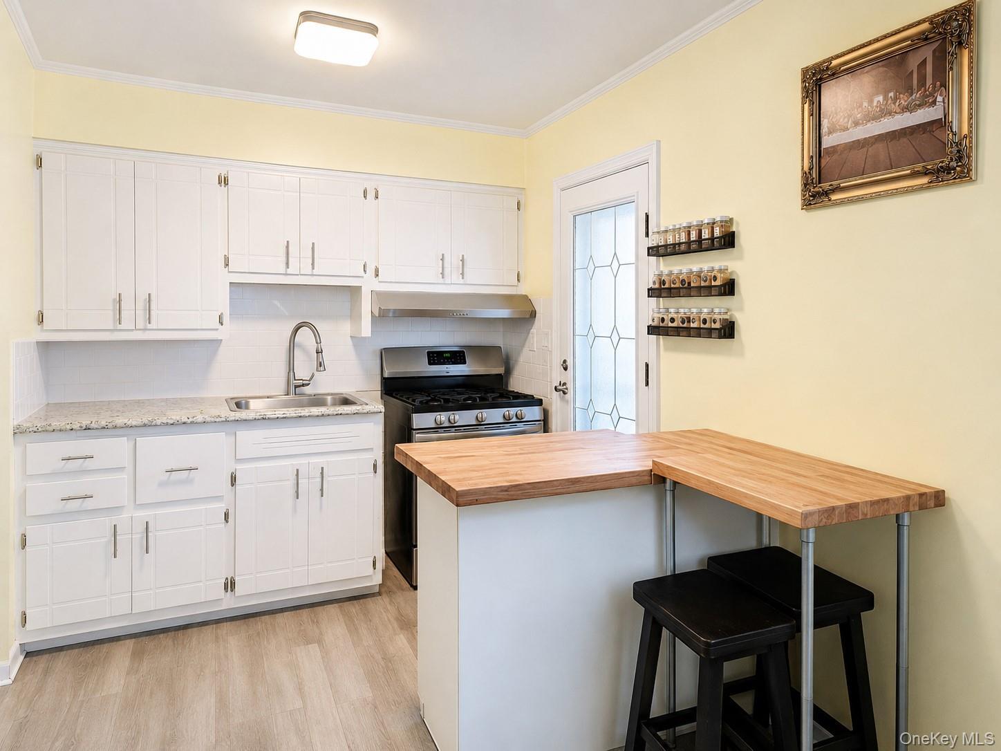 Single Family E Chester Street Nassau County, NY 11580, MLS-1010560-6