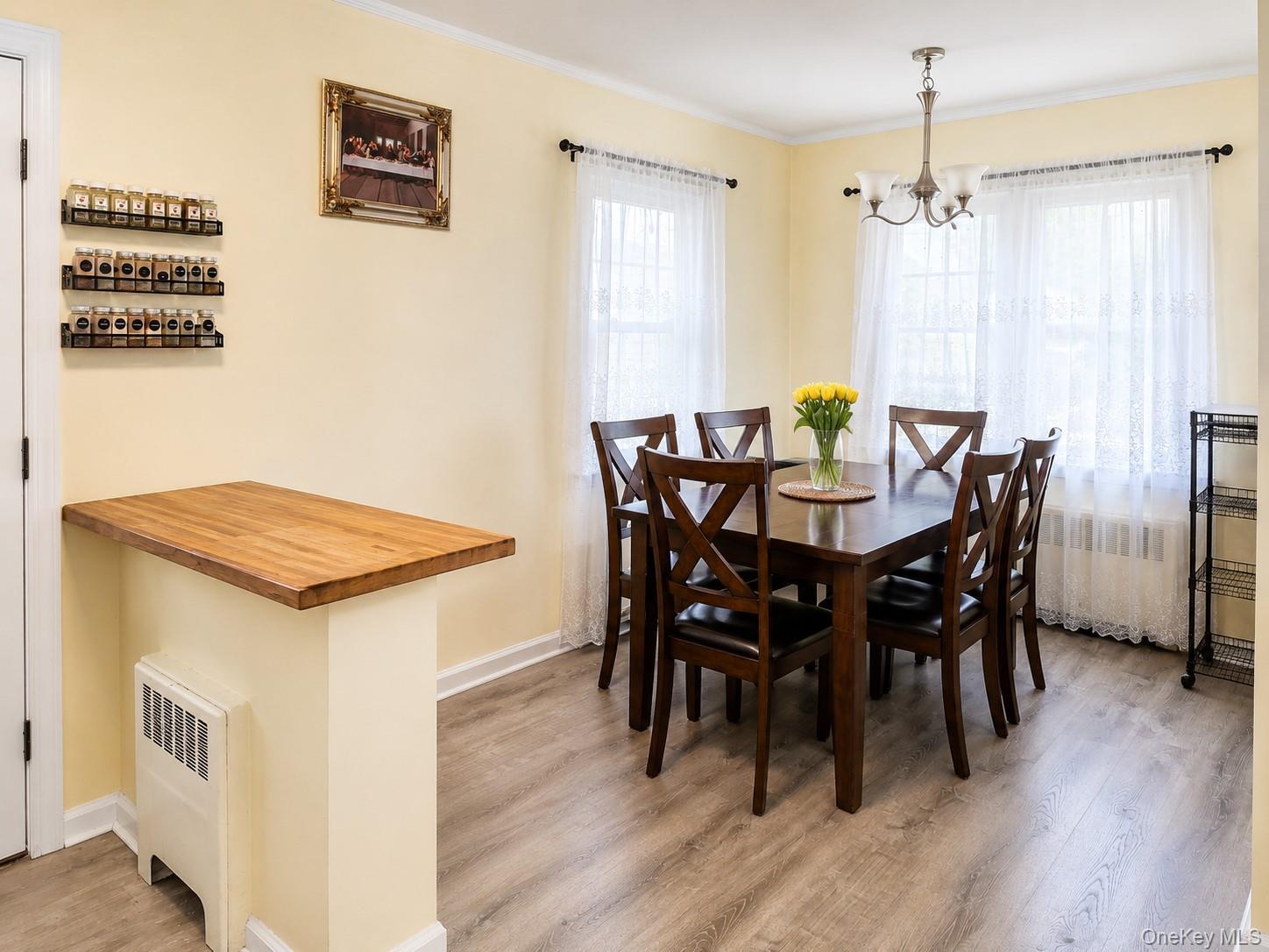 Single Family E Chester Street Nassau County, NY 11580, MLS-1010560-7