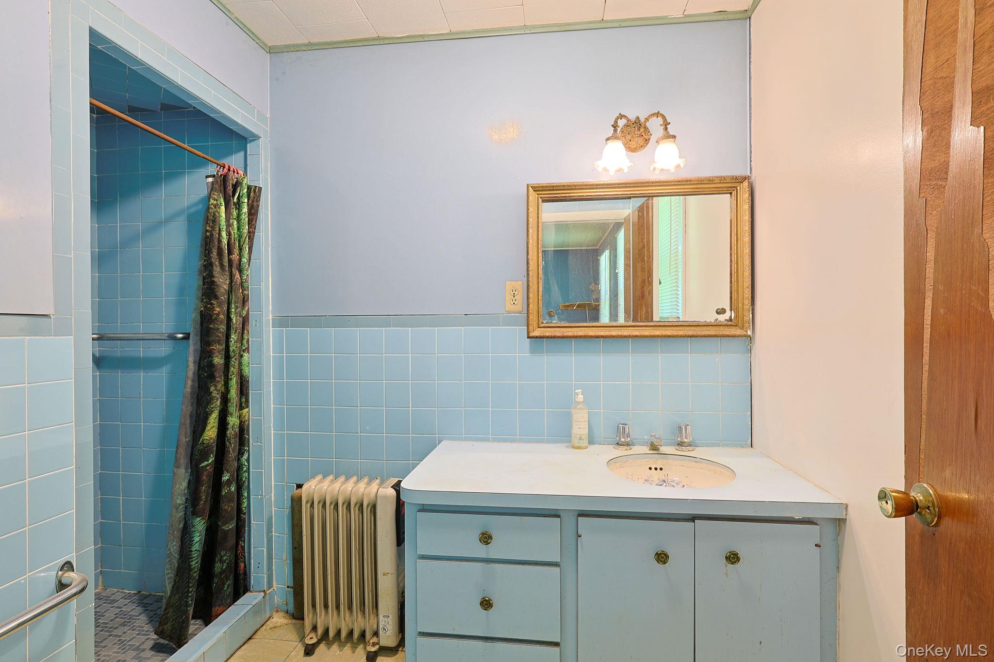 Single Family Marion Avenue  Sullivan County, NY 12754, MLS-1010628-15