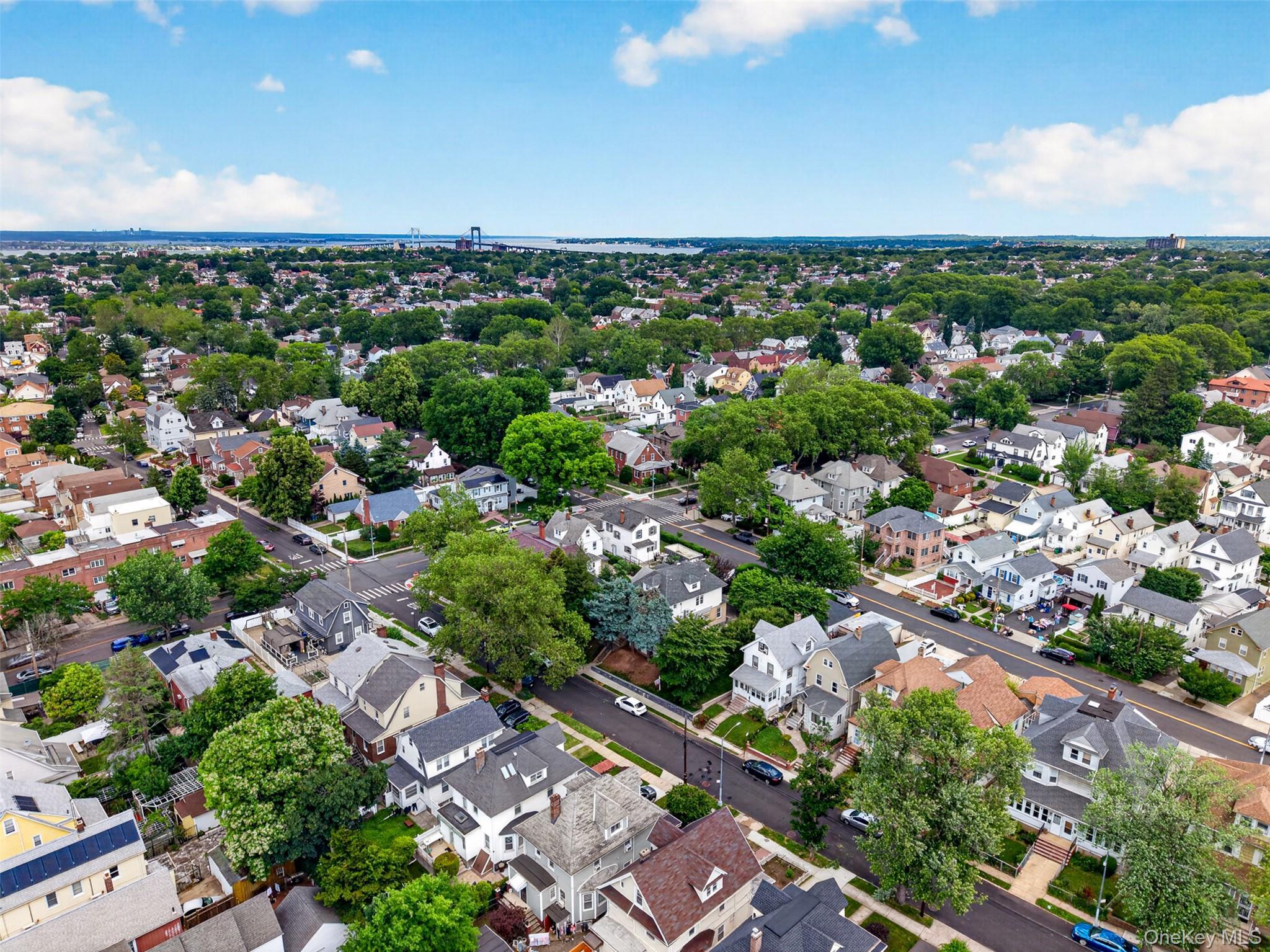 Single Family Murray Lane  Queens, NY 11354, MLS-1010652-48