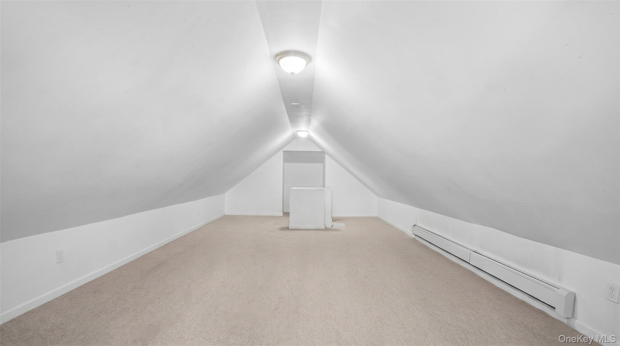 Single Family 225th Bronx, NY 10466, MLS-1010692-23