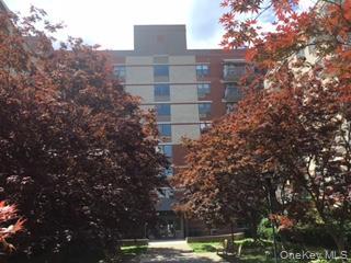 Coop Madison Avenue Manhattan, NY 10032, MLS-1010702-17