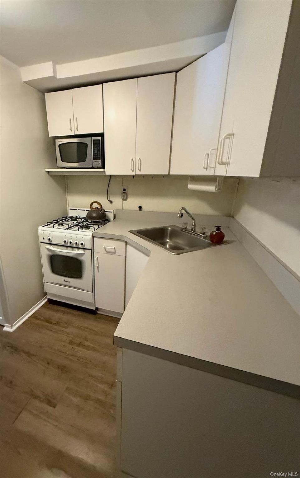 Single Family Dumont Queens, NY 11417, MLS-1010744-15