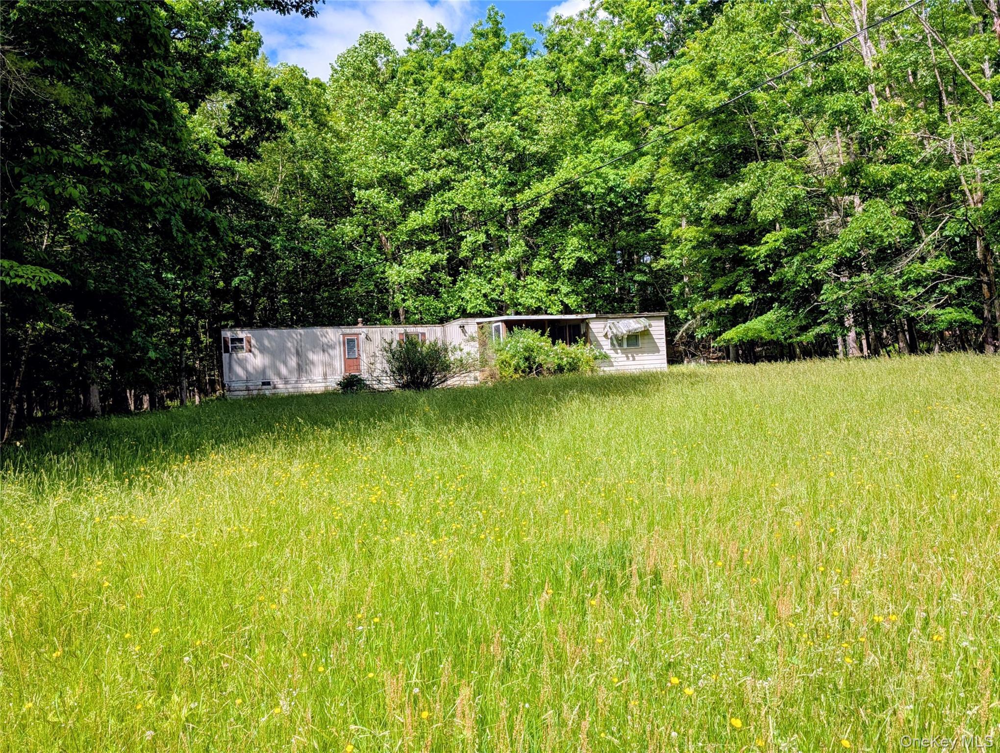 Single Family State Route 97 Sullivan County, NY 12764, MLS-1010764-13
