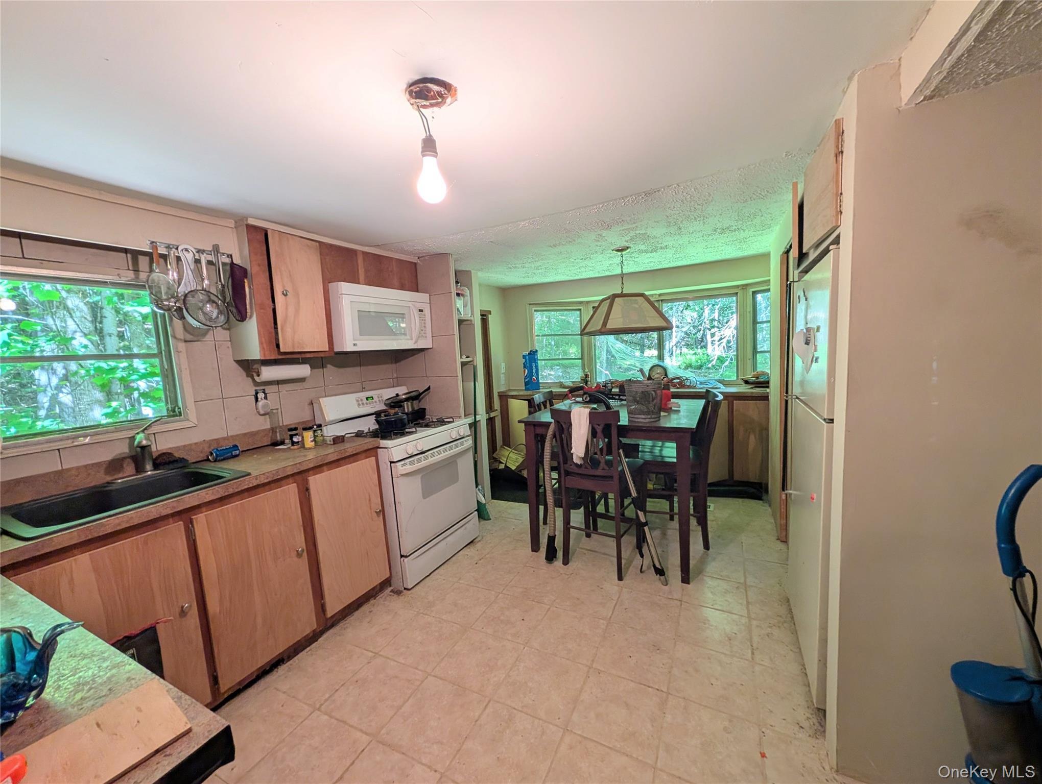 Single Family State Route 97 Sullivan County, NY 12764, MLS-1010764-2