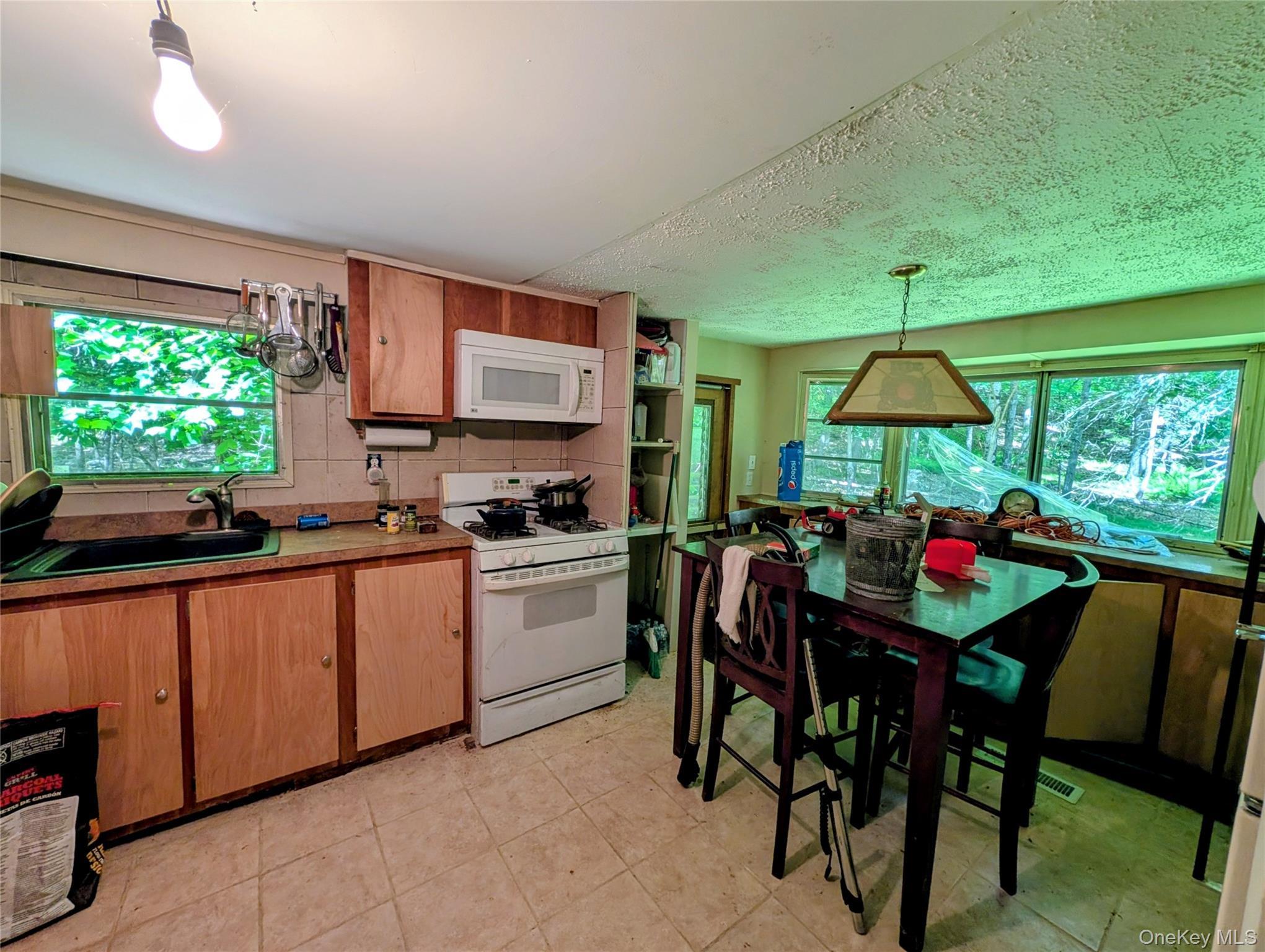 Single Family State Route 97 Sullivan County, NY 12764, MLS-1010764-3