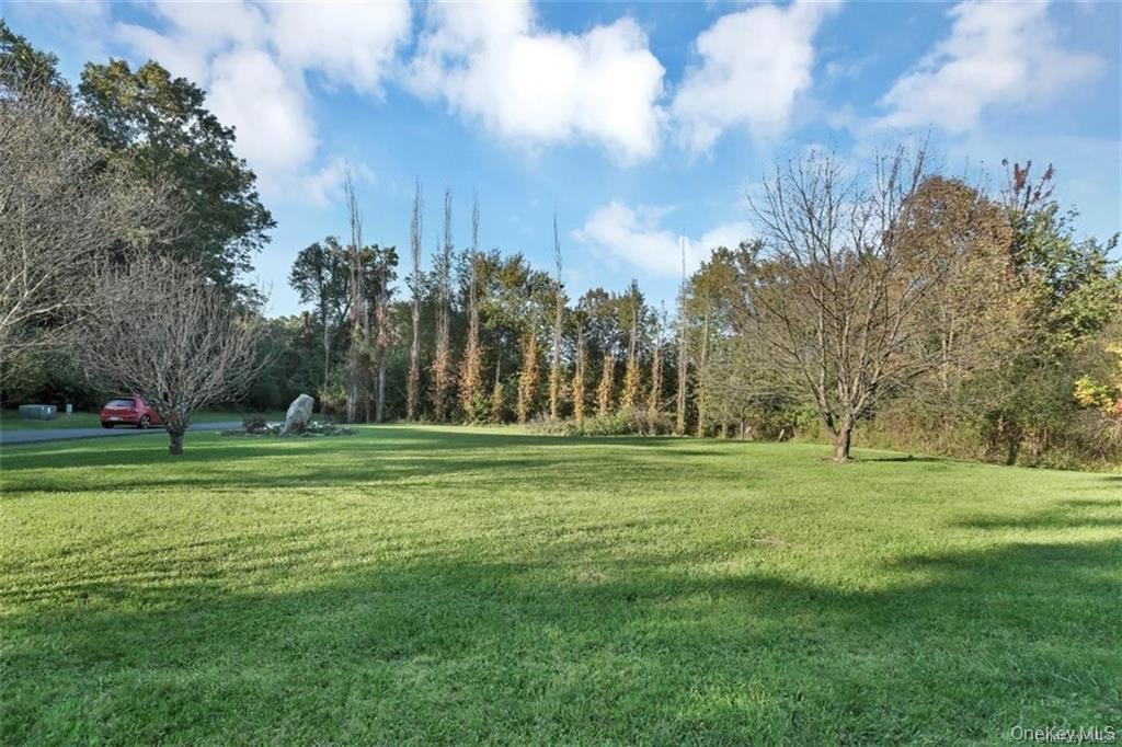 Single Family Whitetail Run Orange County, NY 10918, MLS-1010784-7