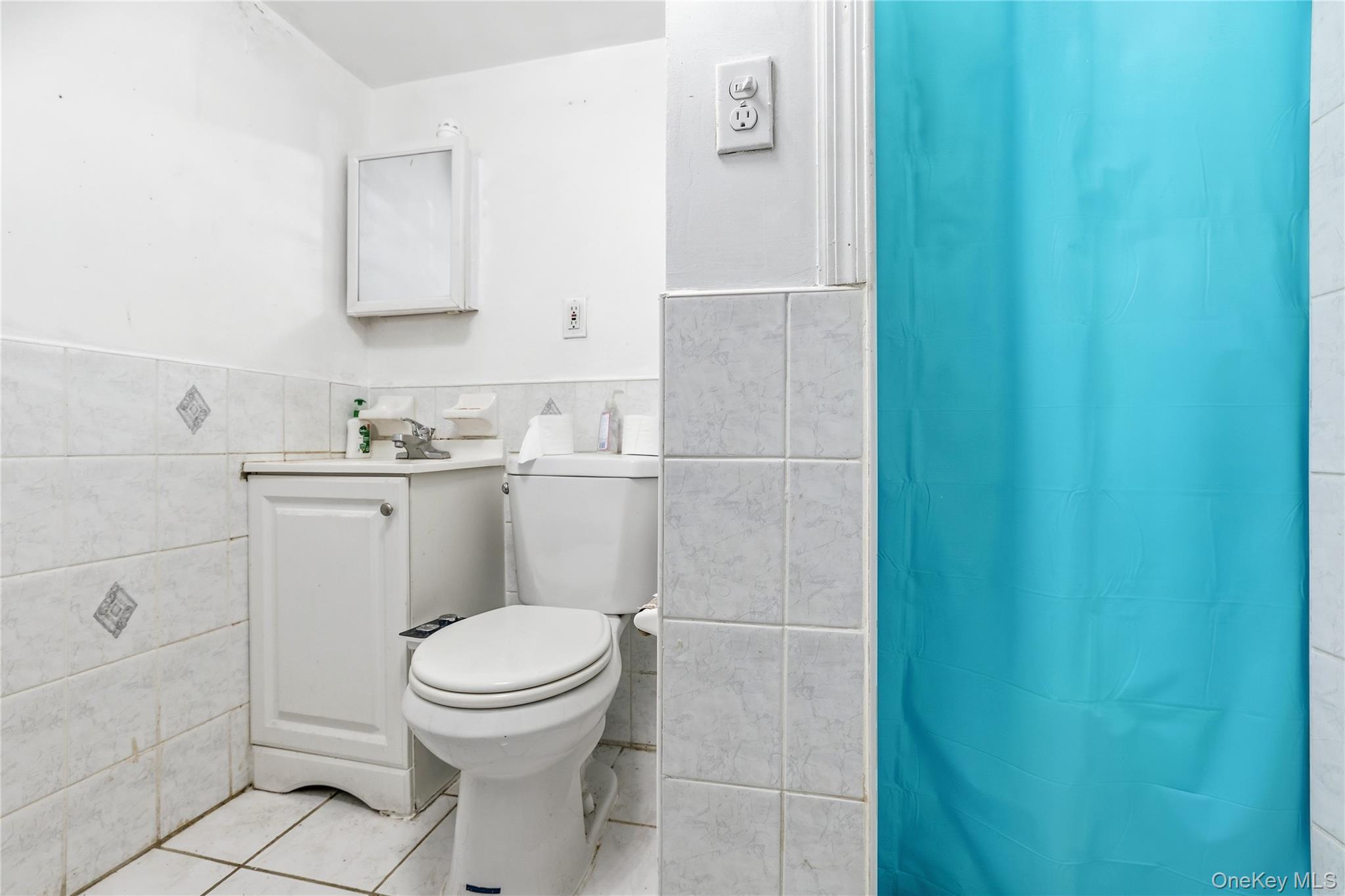 Single Family 252nd Street  Queens, NY 11426, MLS-1010788-22