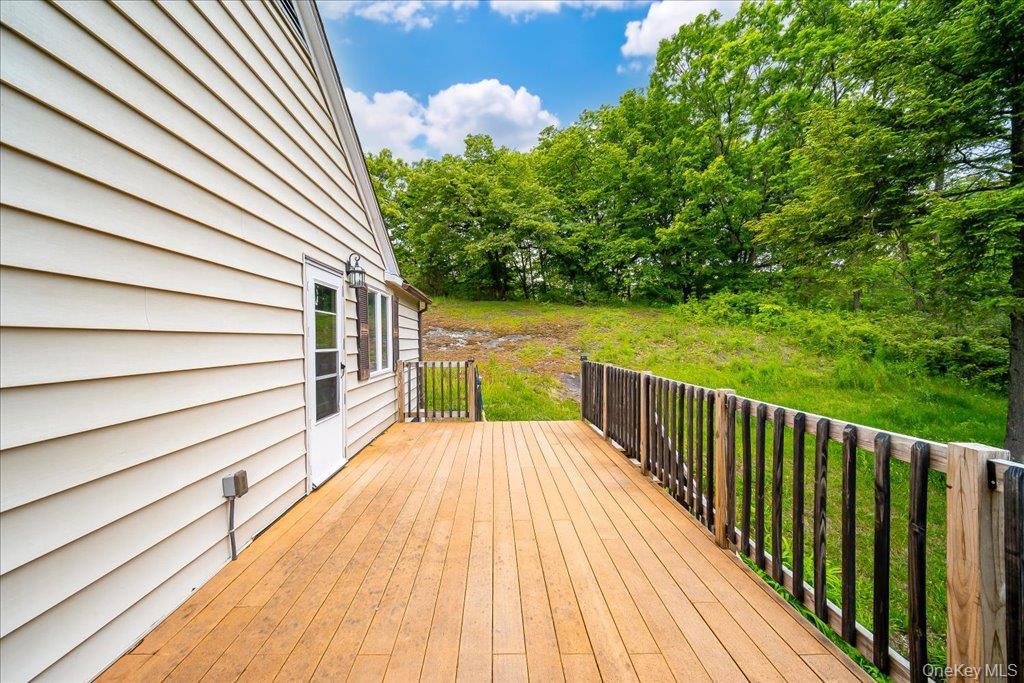 Single Family Moore Street Ulster County, NY 12401, MLS-1010862-41