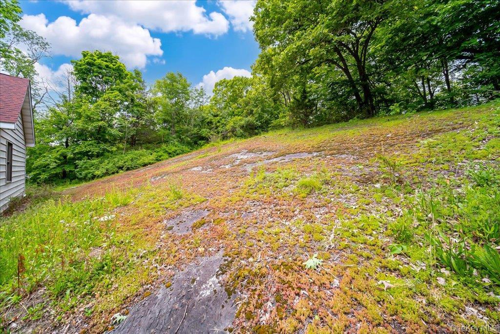 Single Family Moore Street Ulster County, NY 12401, MLS-1010862-42