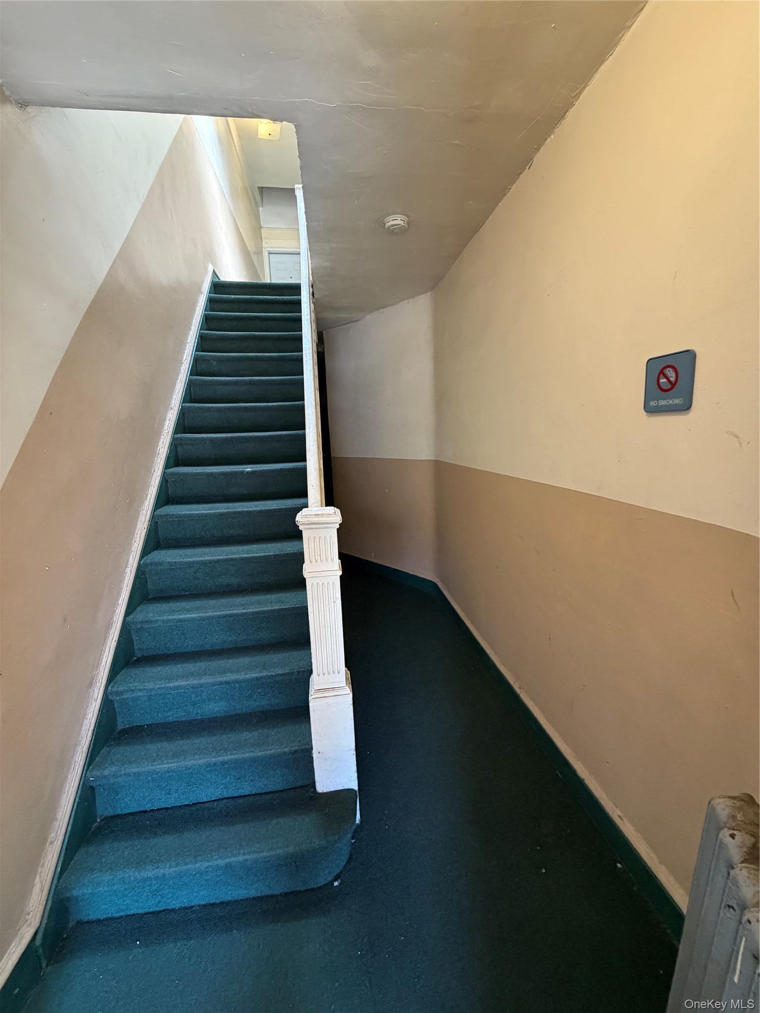 Commercial Sale Utica Avenue  Brooklyn, NY 11234, MLS-1010864-2
