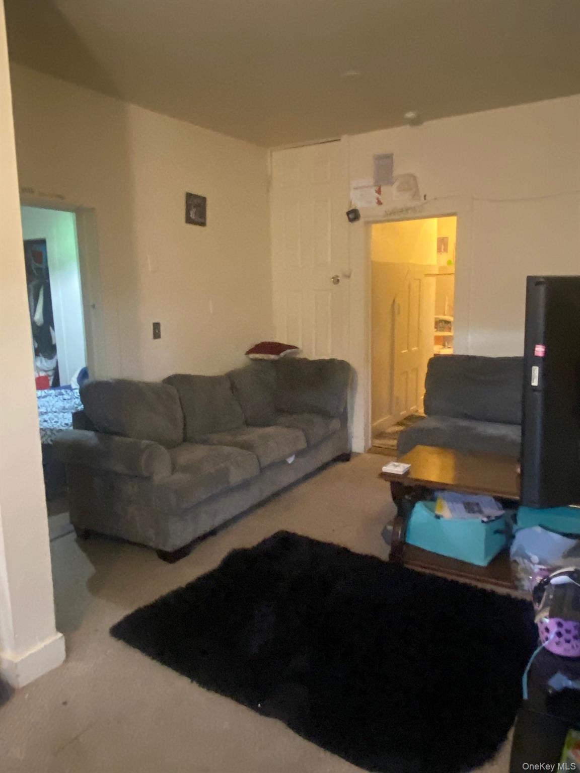 Single Family Sweezy Avenue Orange County, NY 10928, MLS-1010893-2