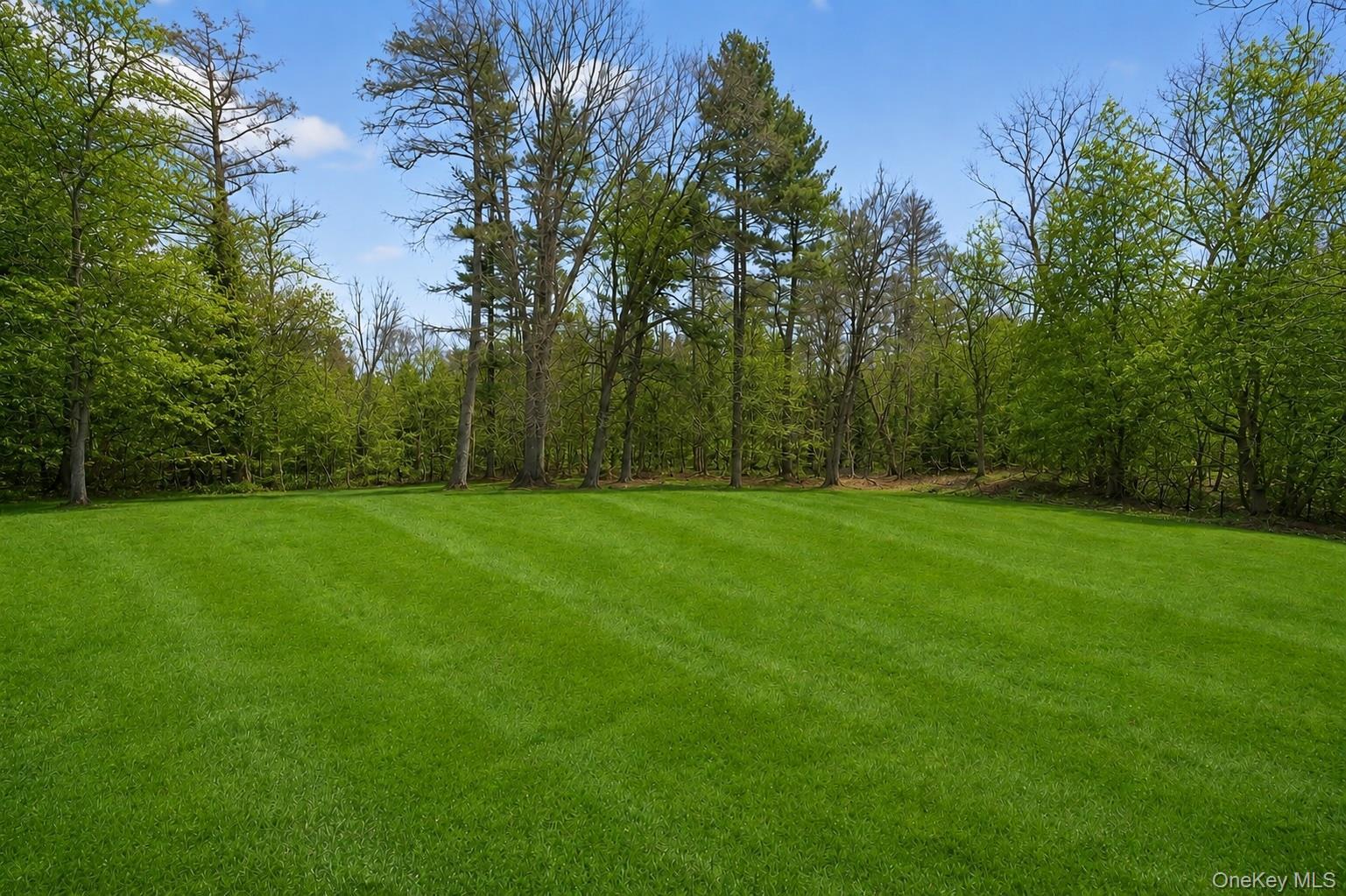 Single Family Muttontown Road Nassau County, NY 11791, MLS-1010916-37