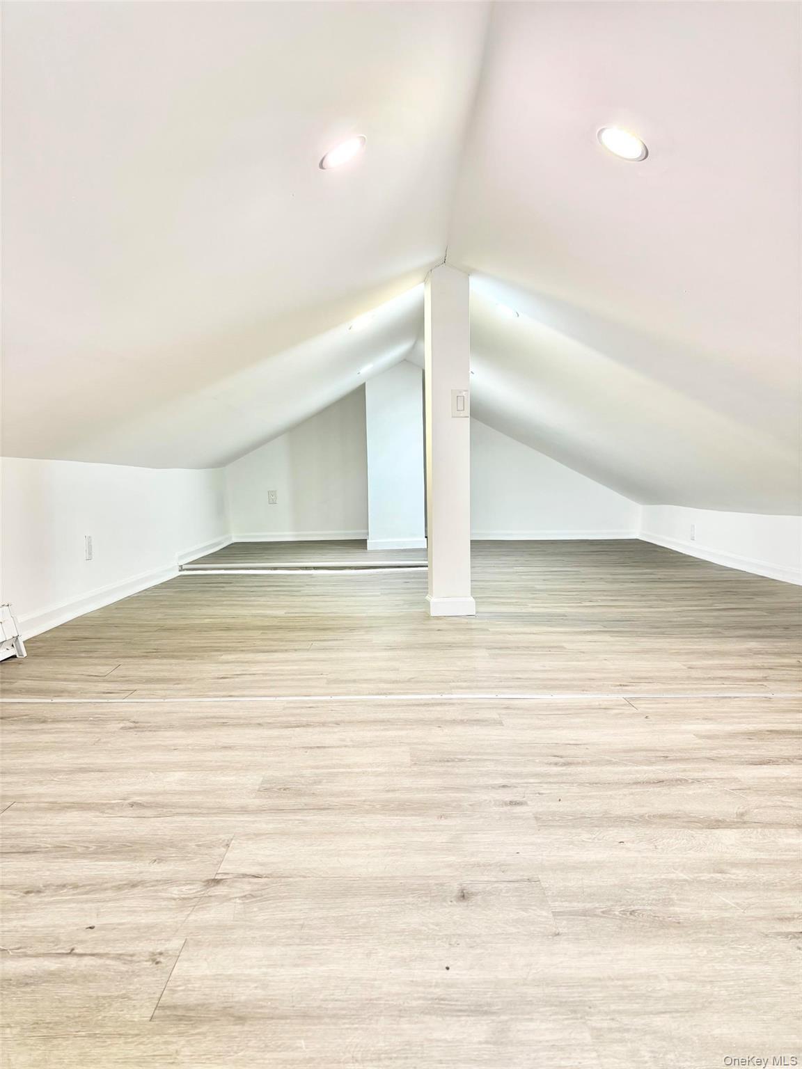 Single Family Walnut Road  Nassau County, NY 11096, MLS-1010926-11