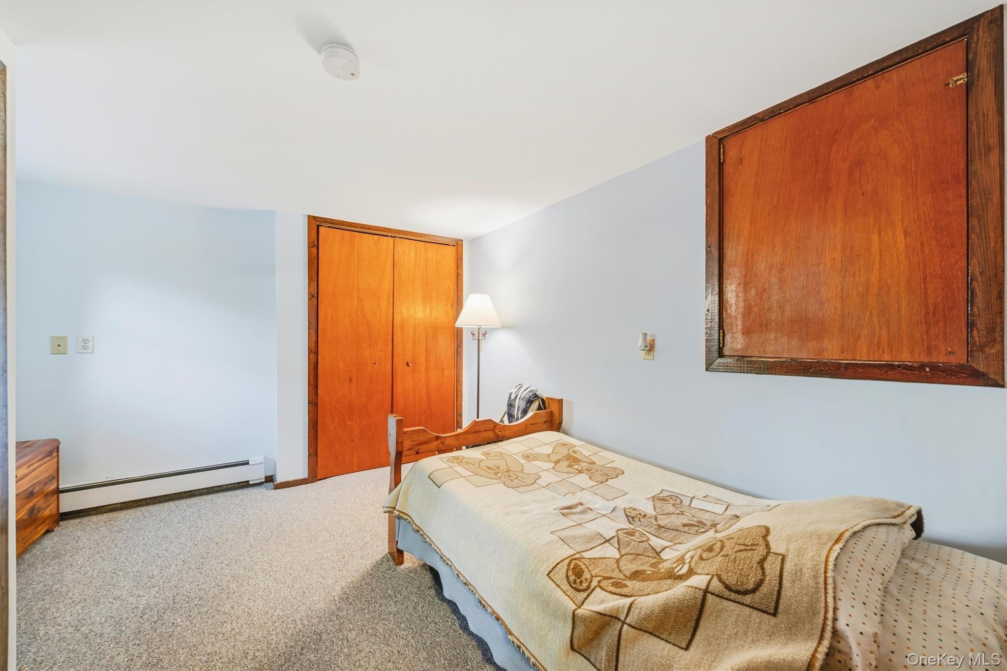 Single Family Echo Trail Orange County, NY 10950, MLS-1010943-25