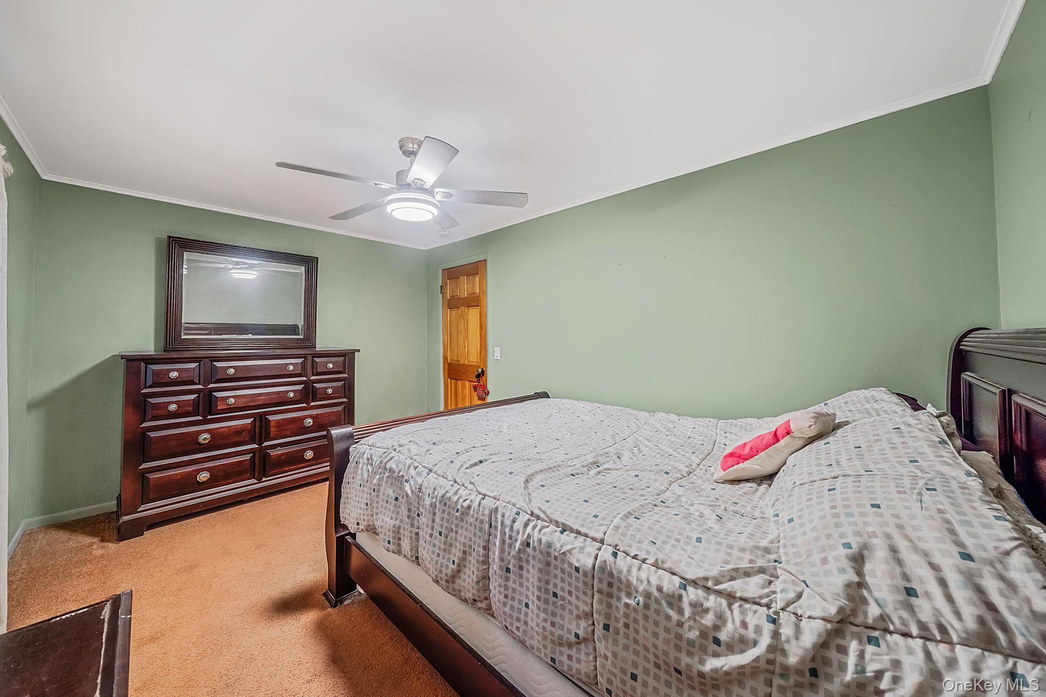 Single Family Curtis Drive  Suffolk County, NY 11789, MLS-1011128-22