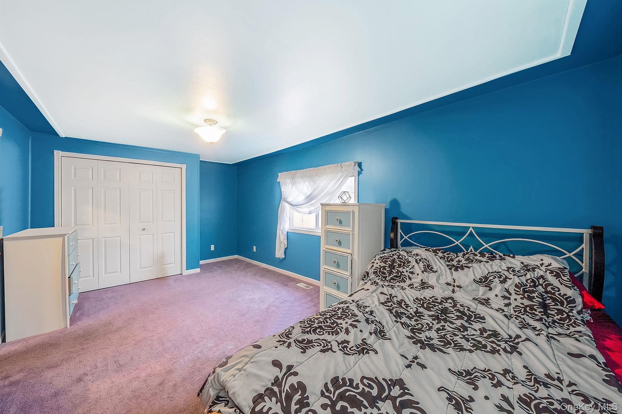 Single Family Curtis Drive  Suffolk County, NY 11789, MLS-1011128-24